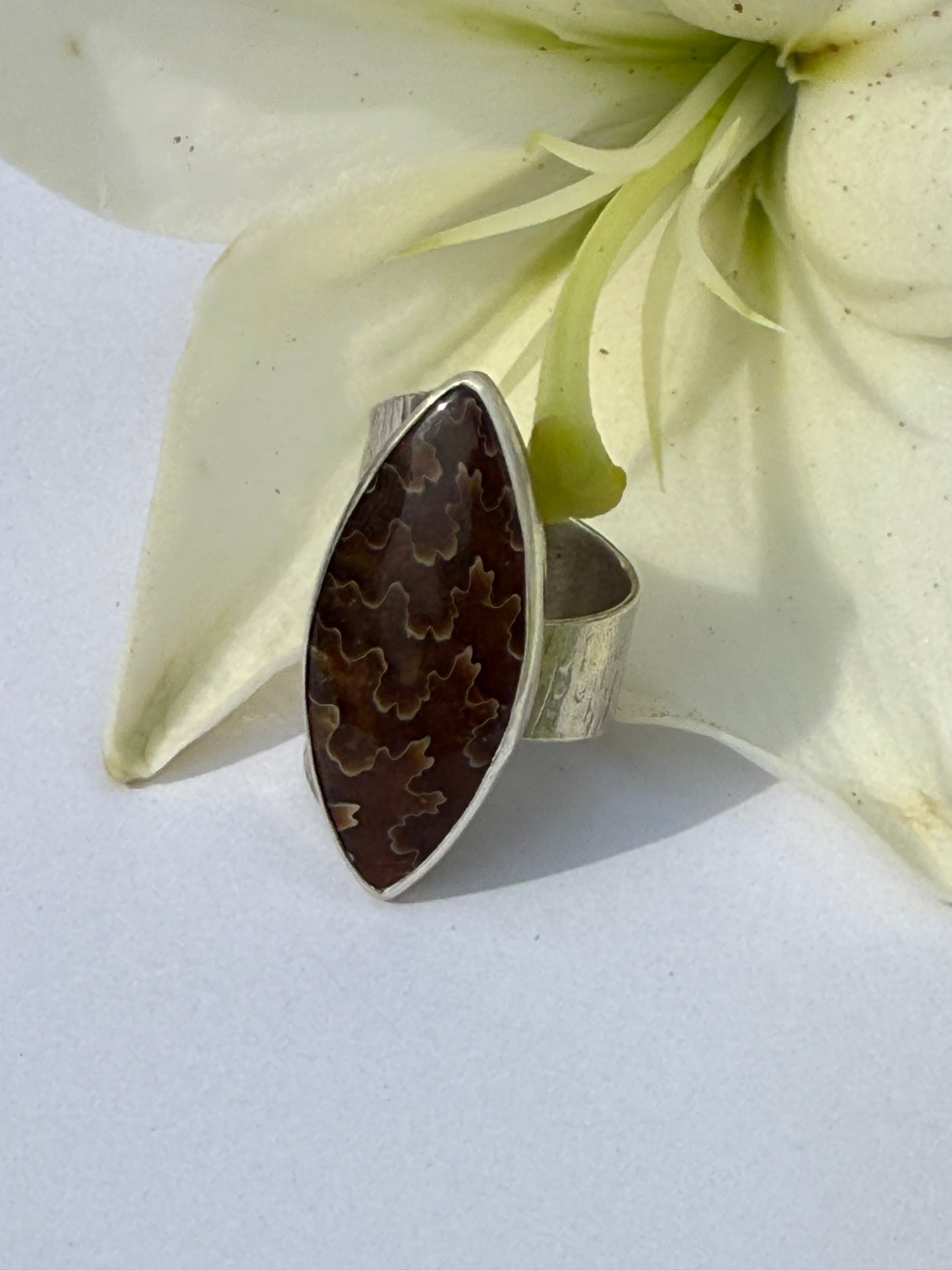 Ancient Wood Spiral Ring: Sterling Silver & Sutured Ammonite - size 7