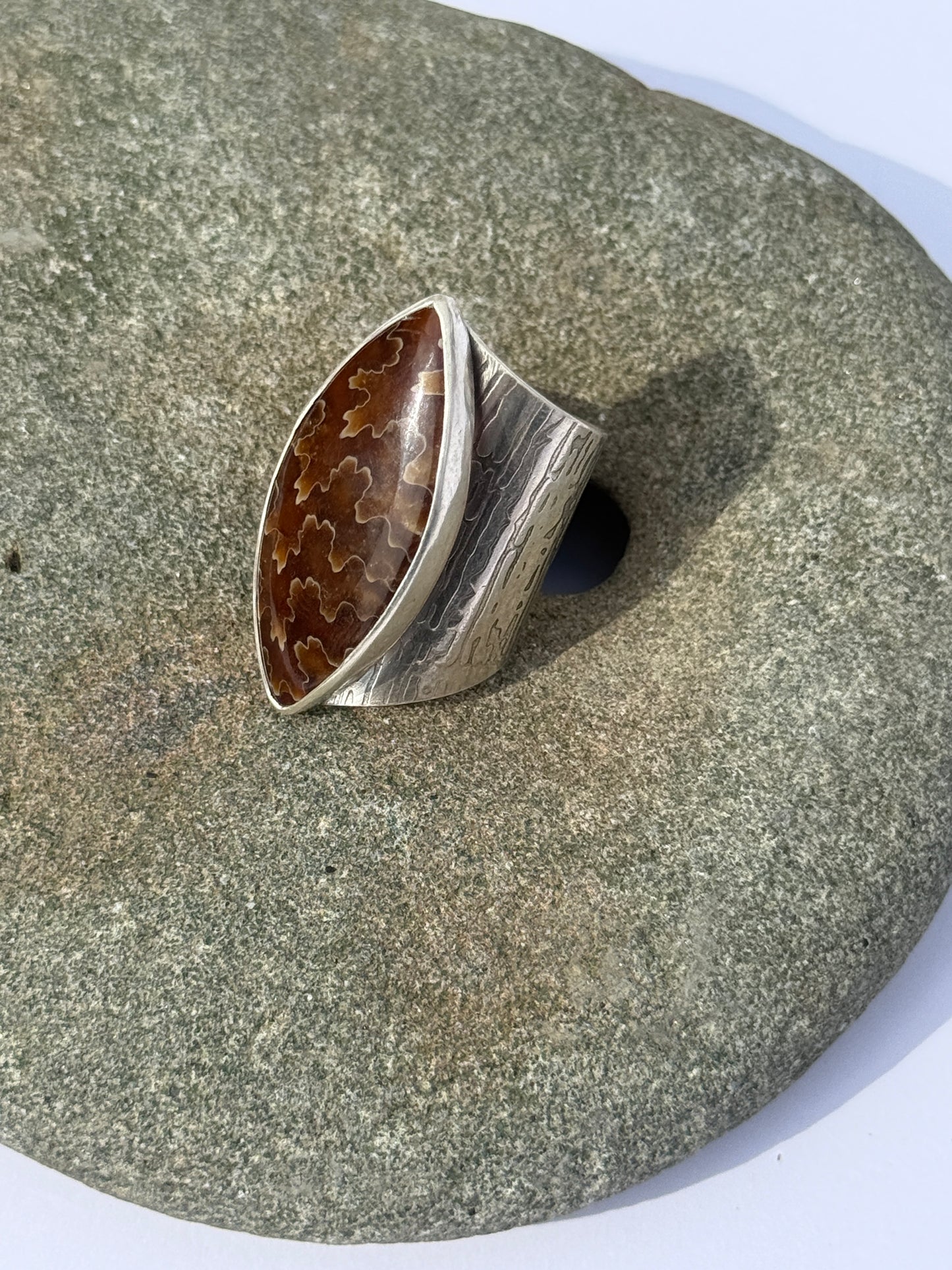 Ancient Wood Spiral Ring: Sterling Silver & Sutured Ammonite - size 7