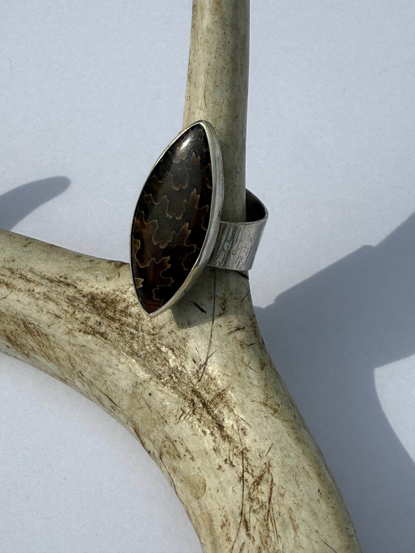 Ancient Wood Spiral Ring: Sterling Silver & Sutured Ammonite - size 7