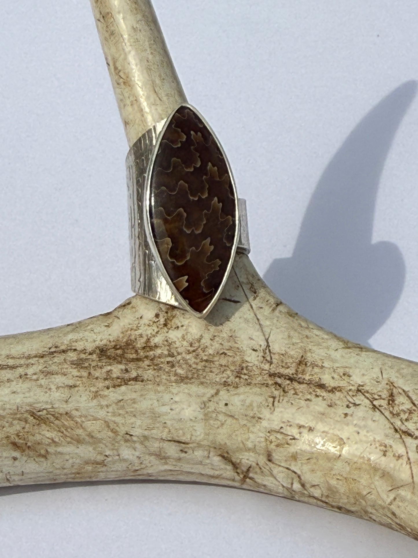 Ancient Wood Spiral Ring: Sterling Silver & Sutured Ammonite - size 7