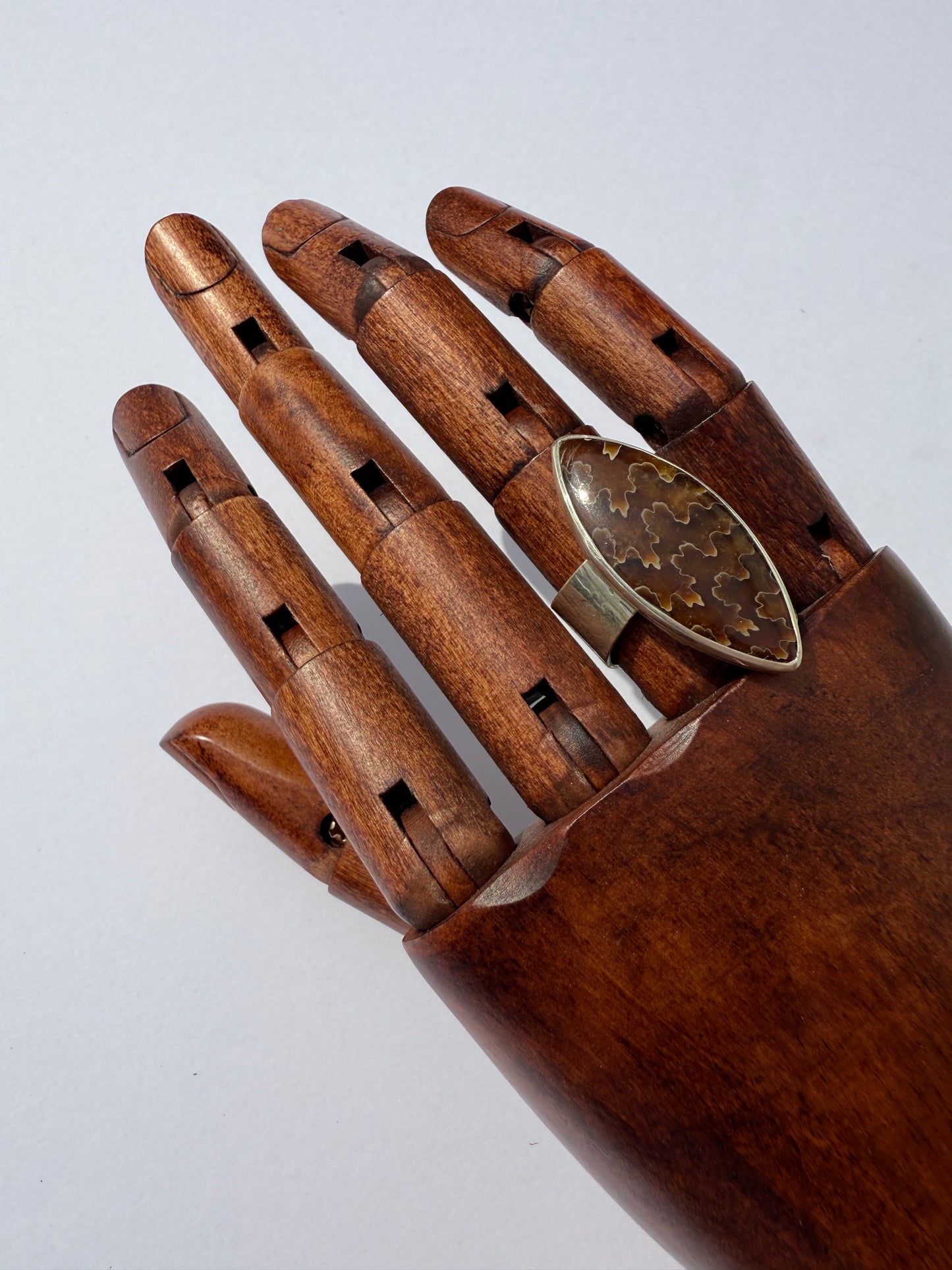 Ancient Wood Spiral Ring: Sterling Silver & Sutured Ammonite - size 7
