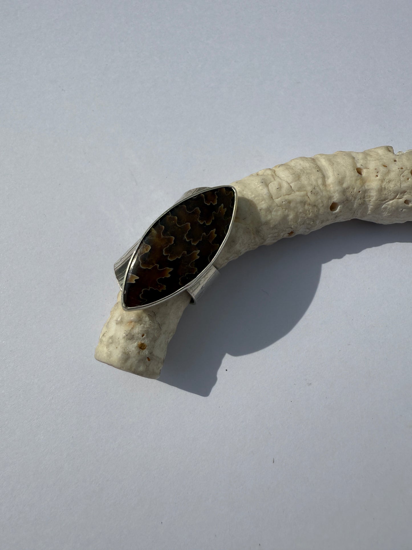 Ancient Wood Spiral Ring: Sterling Silver & Sutured Ammonite - size 7