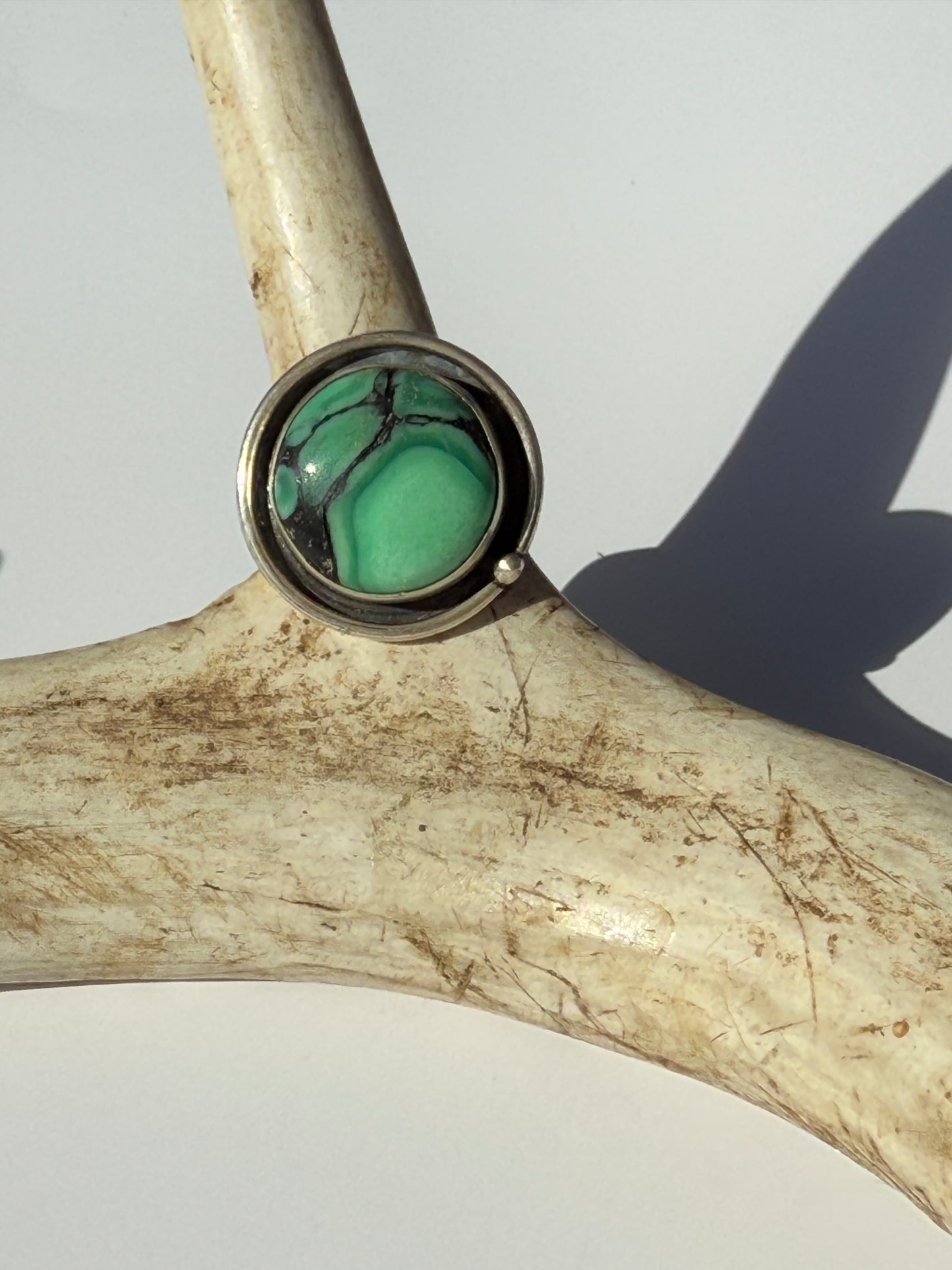 Desert Awakenings Ring: Sterling Silver & Desert Oasis Variscite - size 7