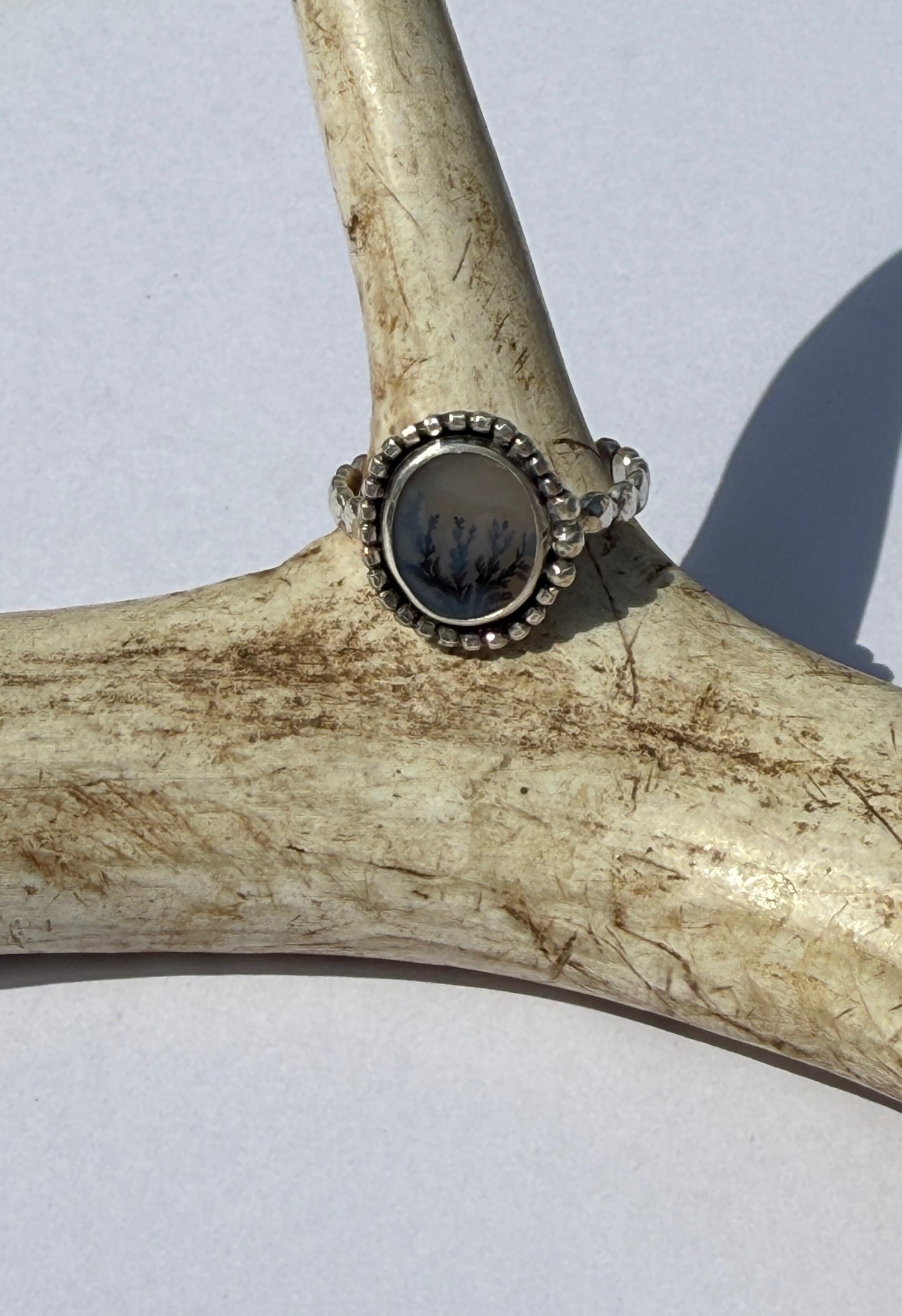 Winter Grove Ring: Sterling Silver & Dendritic Agate - size 9.25
