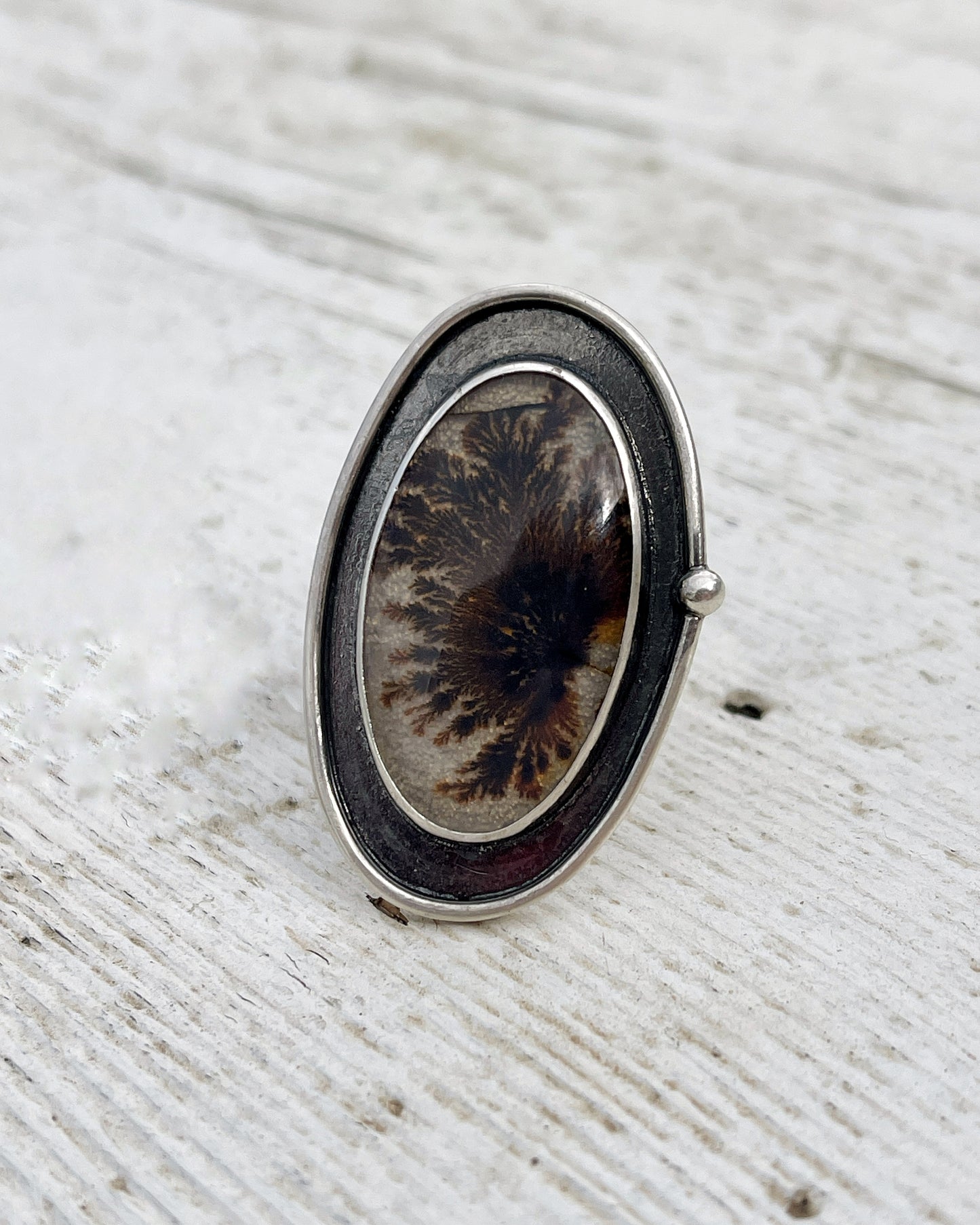 Stillwood Ring: Sterling Silver & Dendritic Agate Shadowbox - size 7