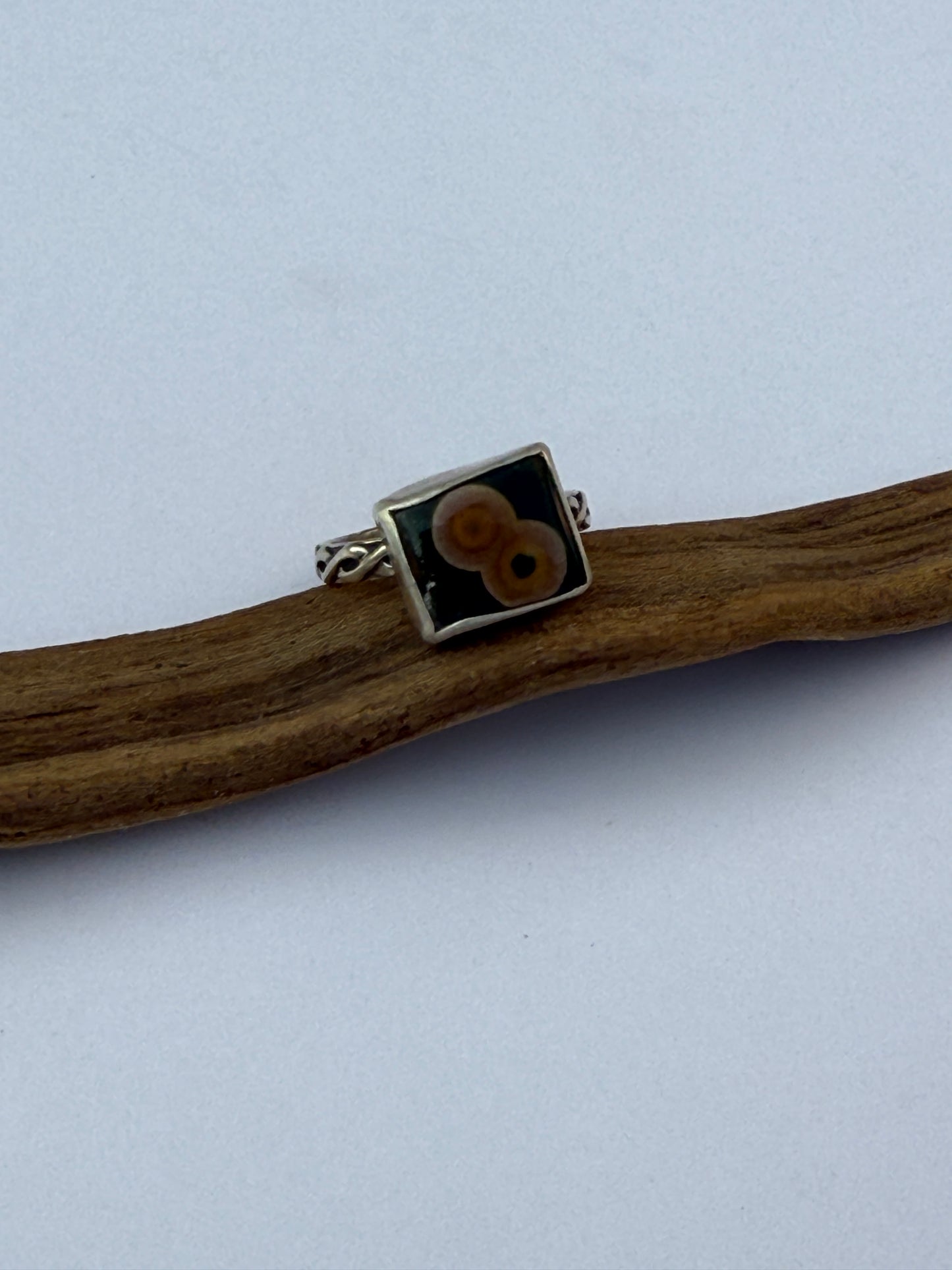Woodsong Ring: Sterling Silver & Ocean Jasper - size 8.5