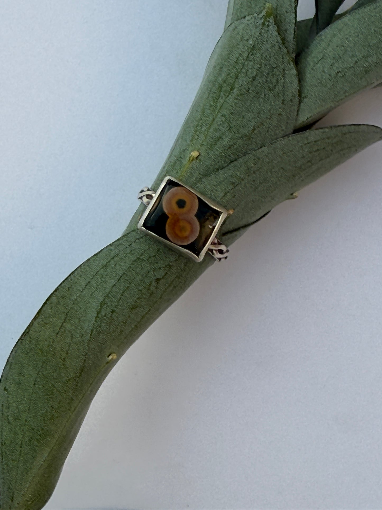 Woodsong Ring: Sterling Silver & Ocean Jasper - size 8.5