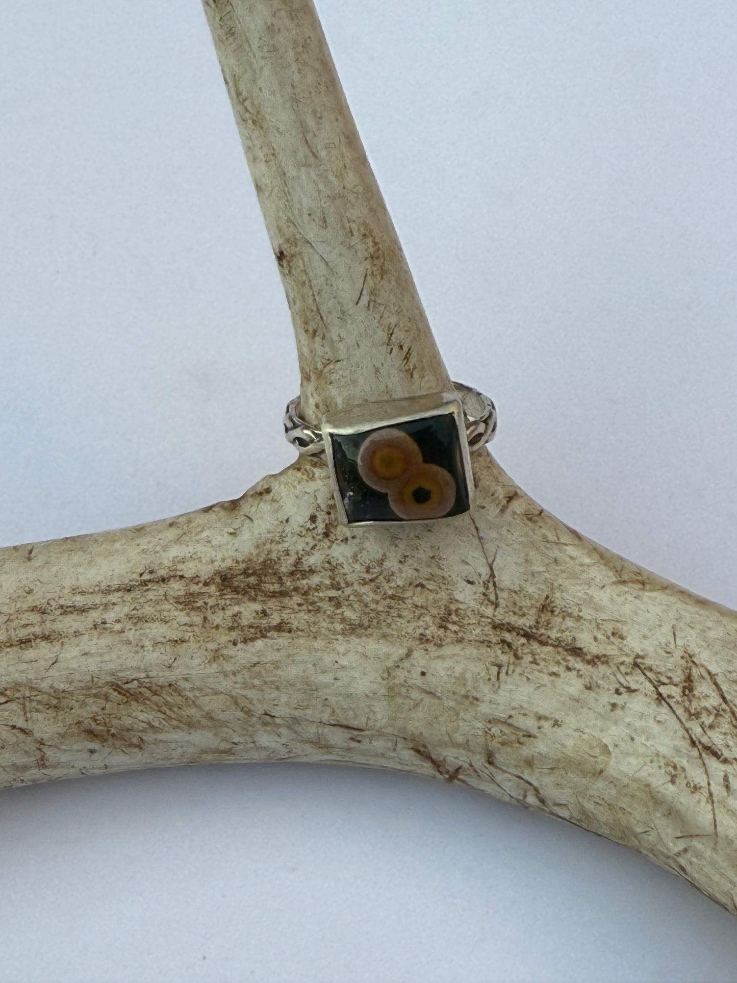 Woodsong Ring: Sterling Silver & Ocean Jasper - size 8.5