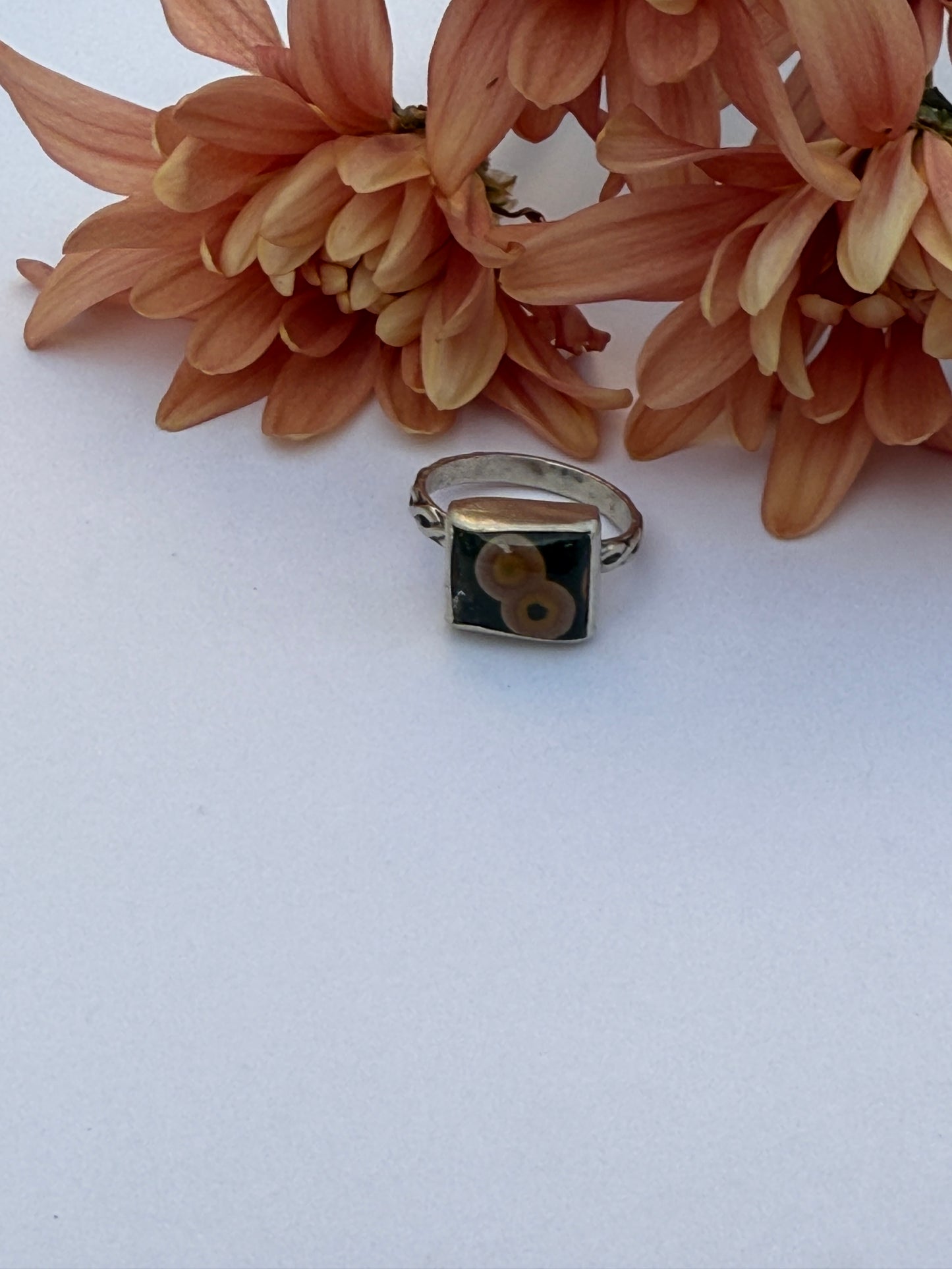 Woodsong Ring: Sterling Silver & Ocean Jasper - size 8.5