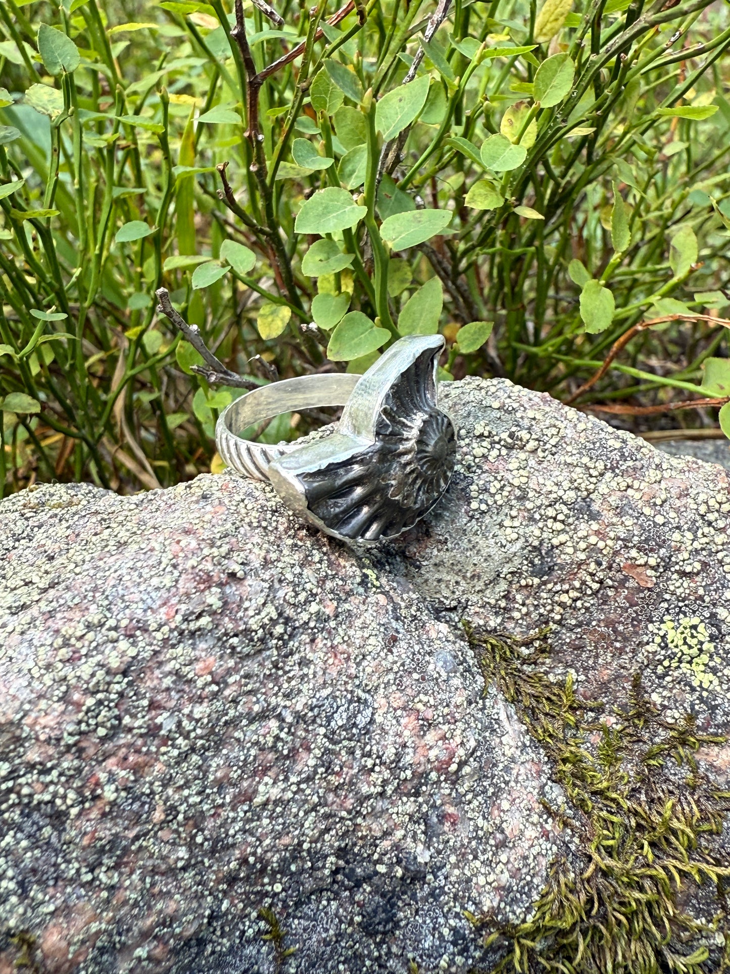 Eternal Spiral Ring: Sterling Silver & Pyritized Ammonite - size 6