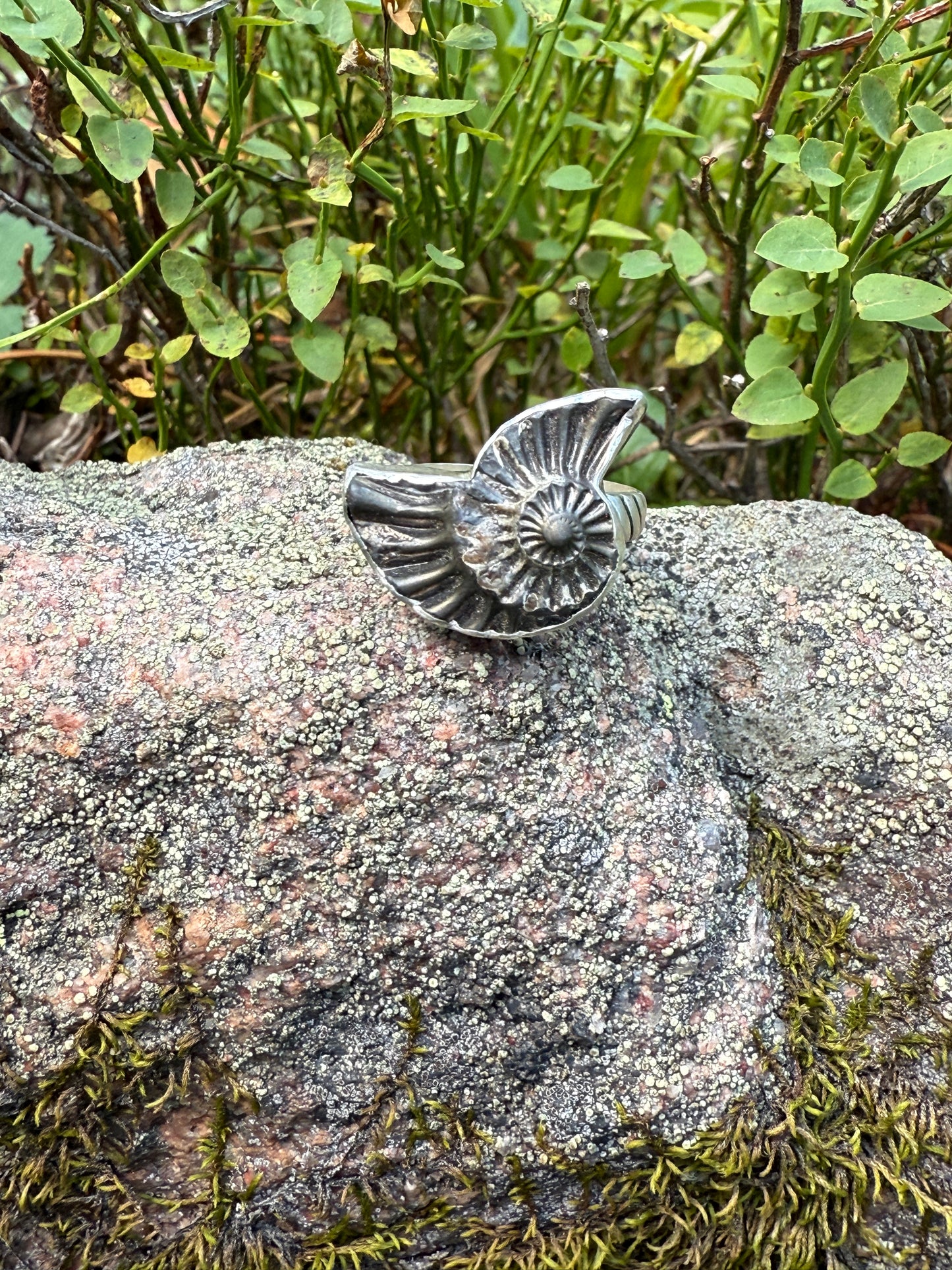 Eternal Spiral Ring: Sterling Silver & Pyritized Ammonite - size 6