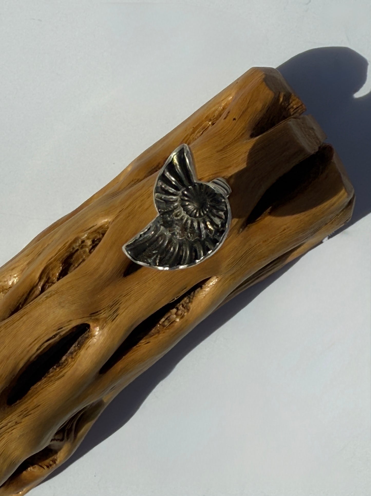 Eternal Spiral Ring: Sterling Silver & Pyritized Ammonite - size 6