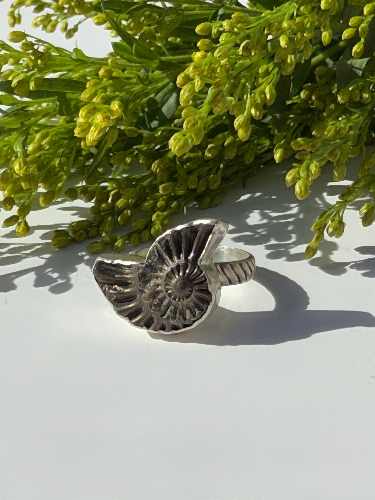 Eternal Spiral Ring: Sterling Silver & Pyritized Ammonite - size 6