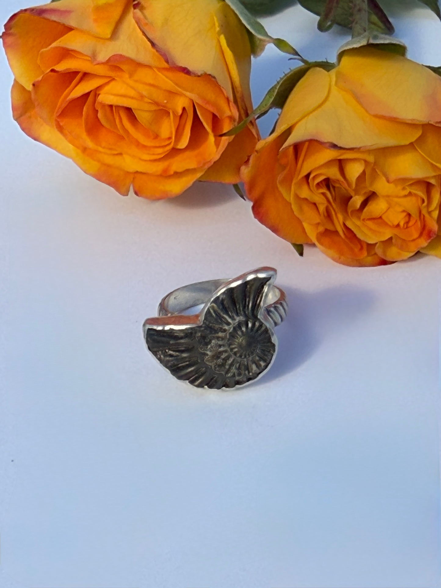 Eternal Spiral Ring: Sterling Silver & Pyritized Ammonite - size 6