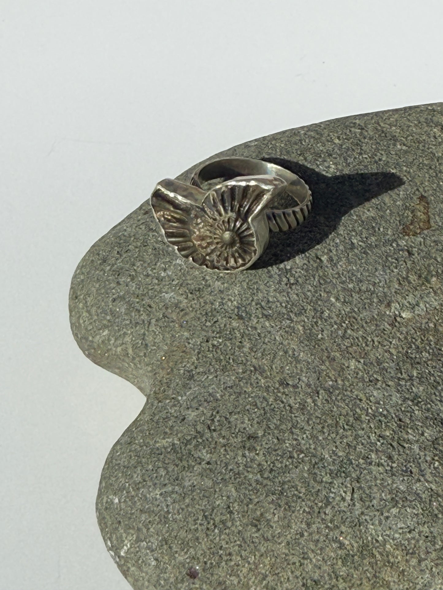 Eternal Spiral Ring: Sterling Silver & Pyritized Ammonite - size 6