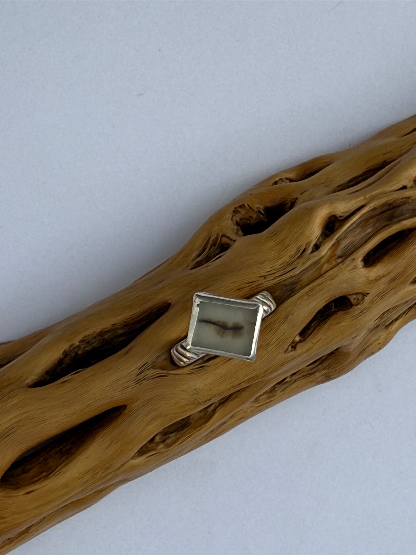 Root & River Ring: Sterling Silver & Dendritic Agate - size 5.75