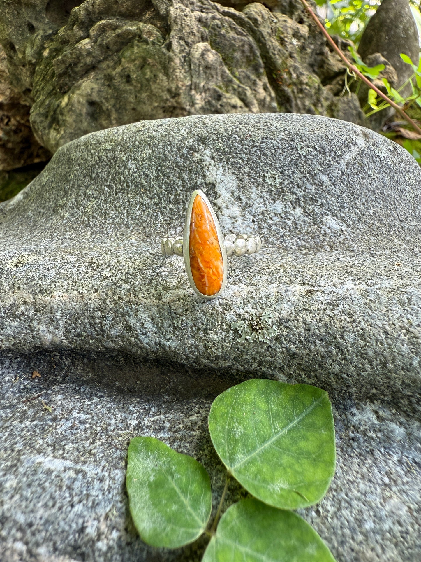 Sunfire Bloom Ring: Sterling Silver & Orange Spiny Oyster - size 7
