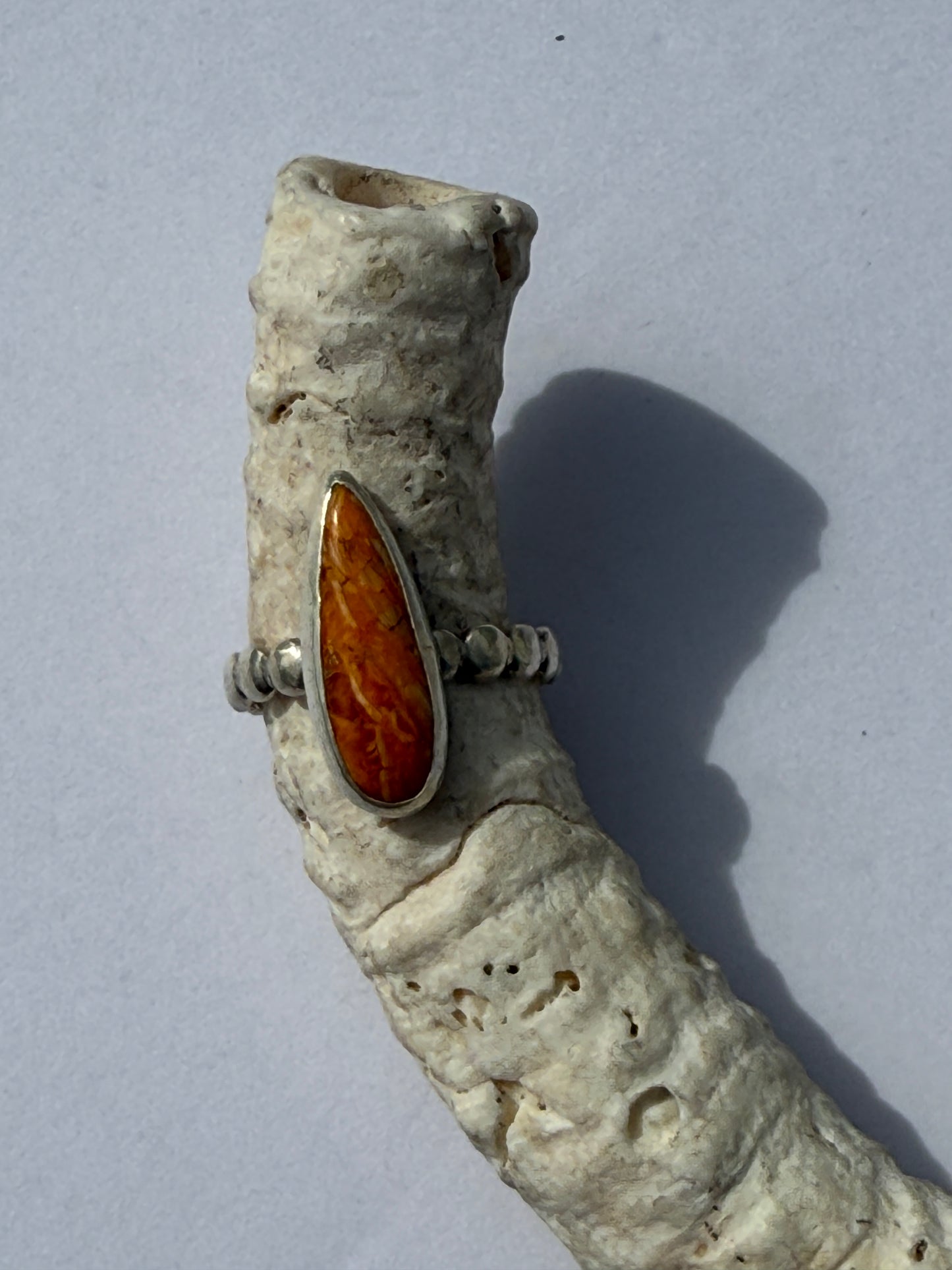 Sunfire Bloom Ring: Sterling Silver & Orange Spiny Oyster - size 7