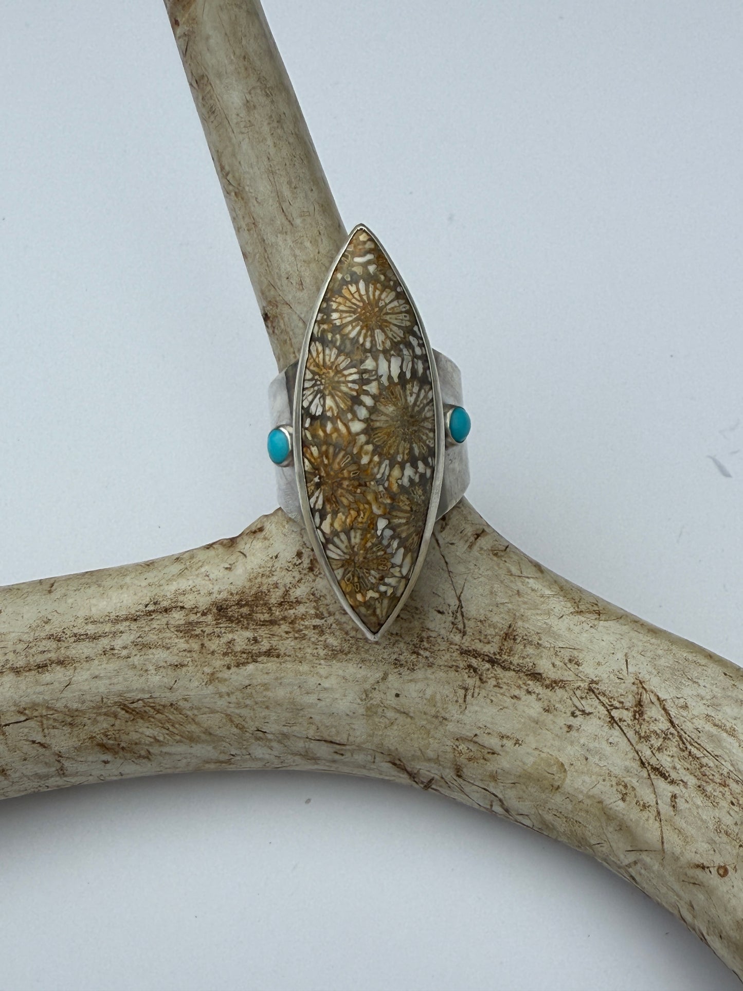Ancient Shoreline Ring: Sterling Silver & Fossil Coral & Kingman Turquoise - size 9.25