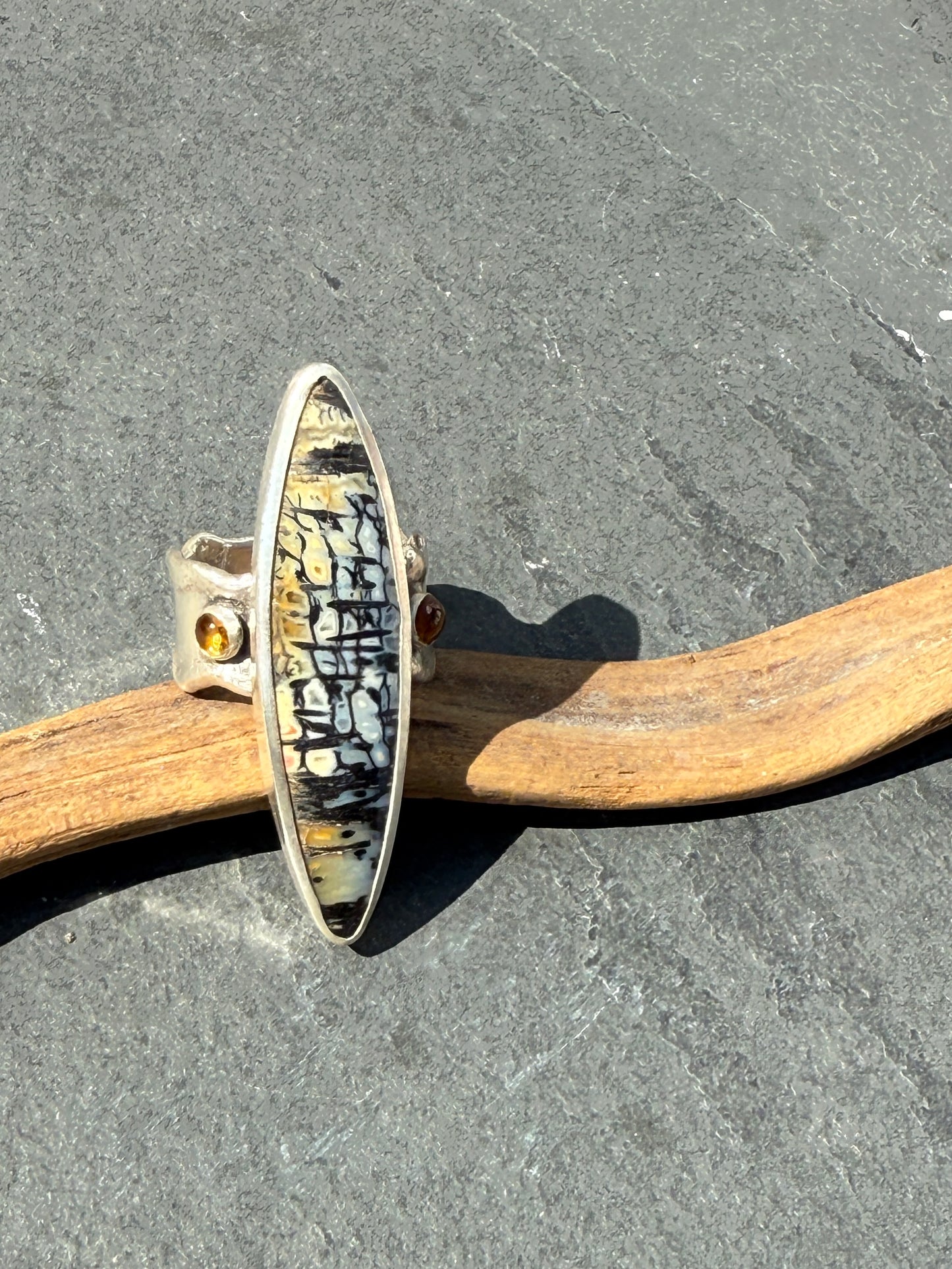 Ancient Earth Ring: Sterling Silver & Petrified Wood - size 9.25