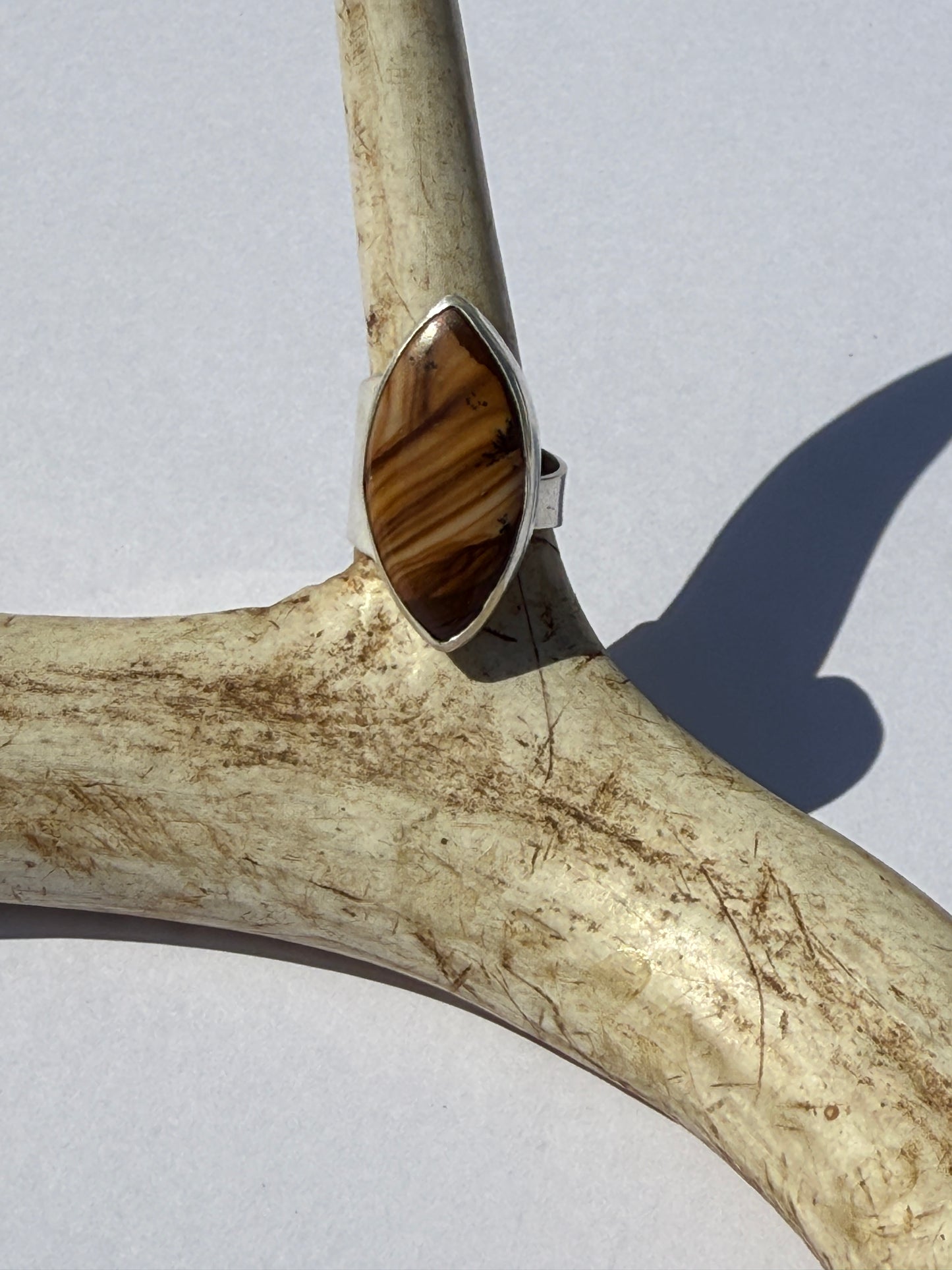 Wanderlust Trail Ring - Sterling Silver & Picture Jasper - size 5.25