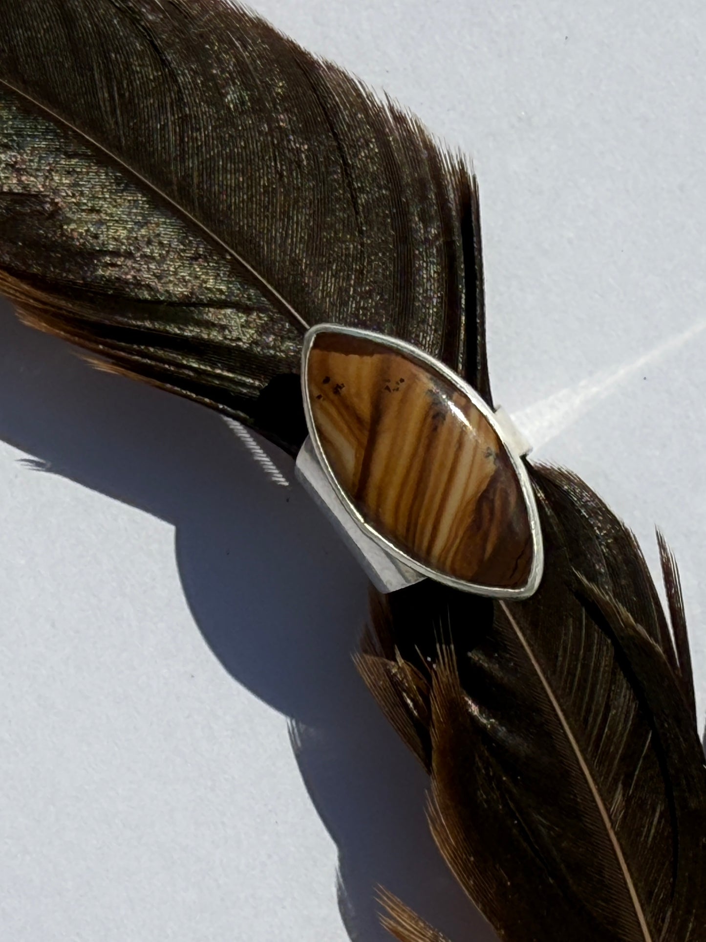 Wanderlust Trail Ring - Sterling Silver & Picture Jasper - size 5.25