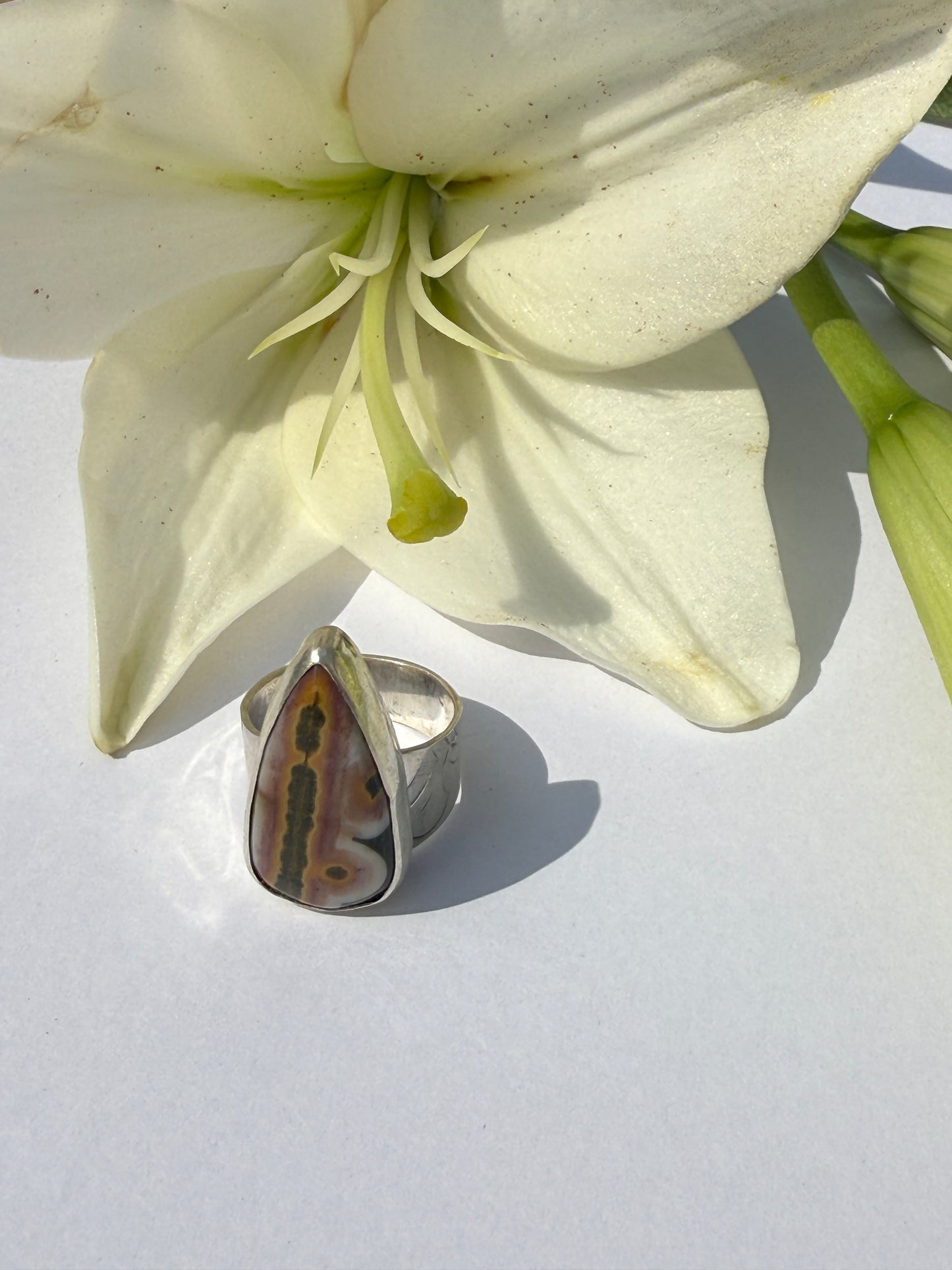 Tidepool Ring - Sterling Silver & Ocean Jasper Teardrop - size 7