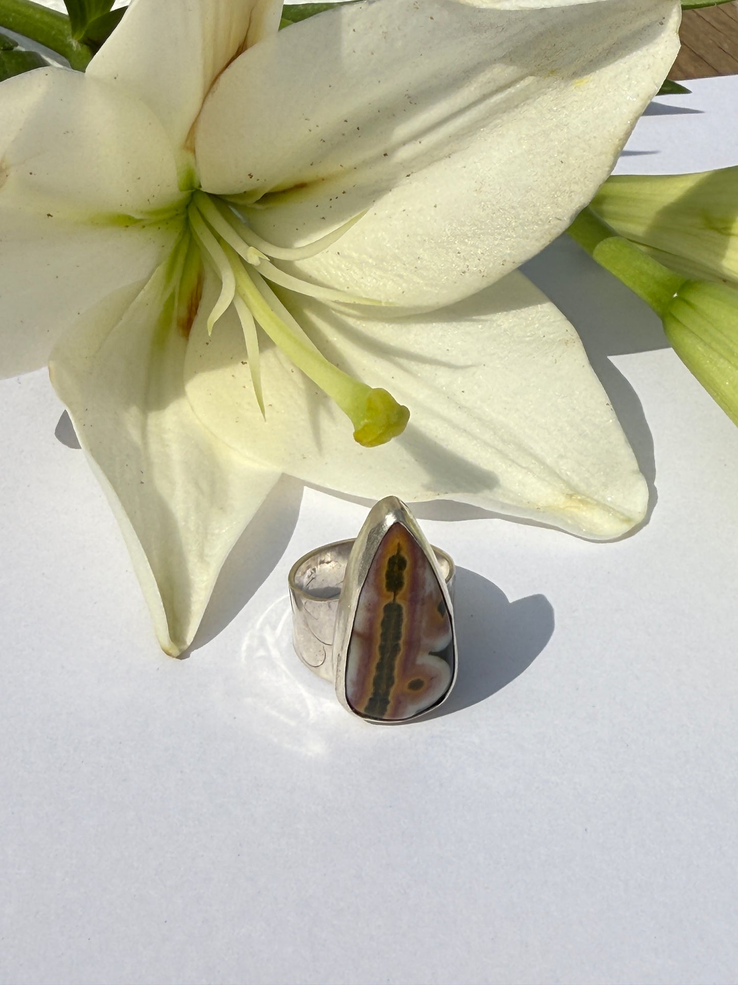 Tidepool Ring - Sterling Silver & Ocean Jasper Teardrop - size 7