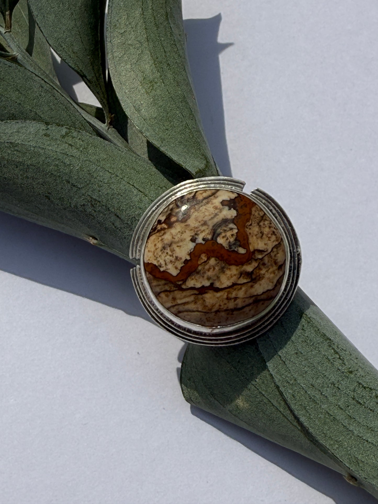 Sanctuary Ring - Sterling Silver & Picture Jasper - size 7