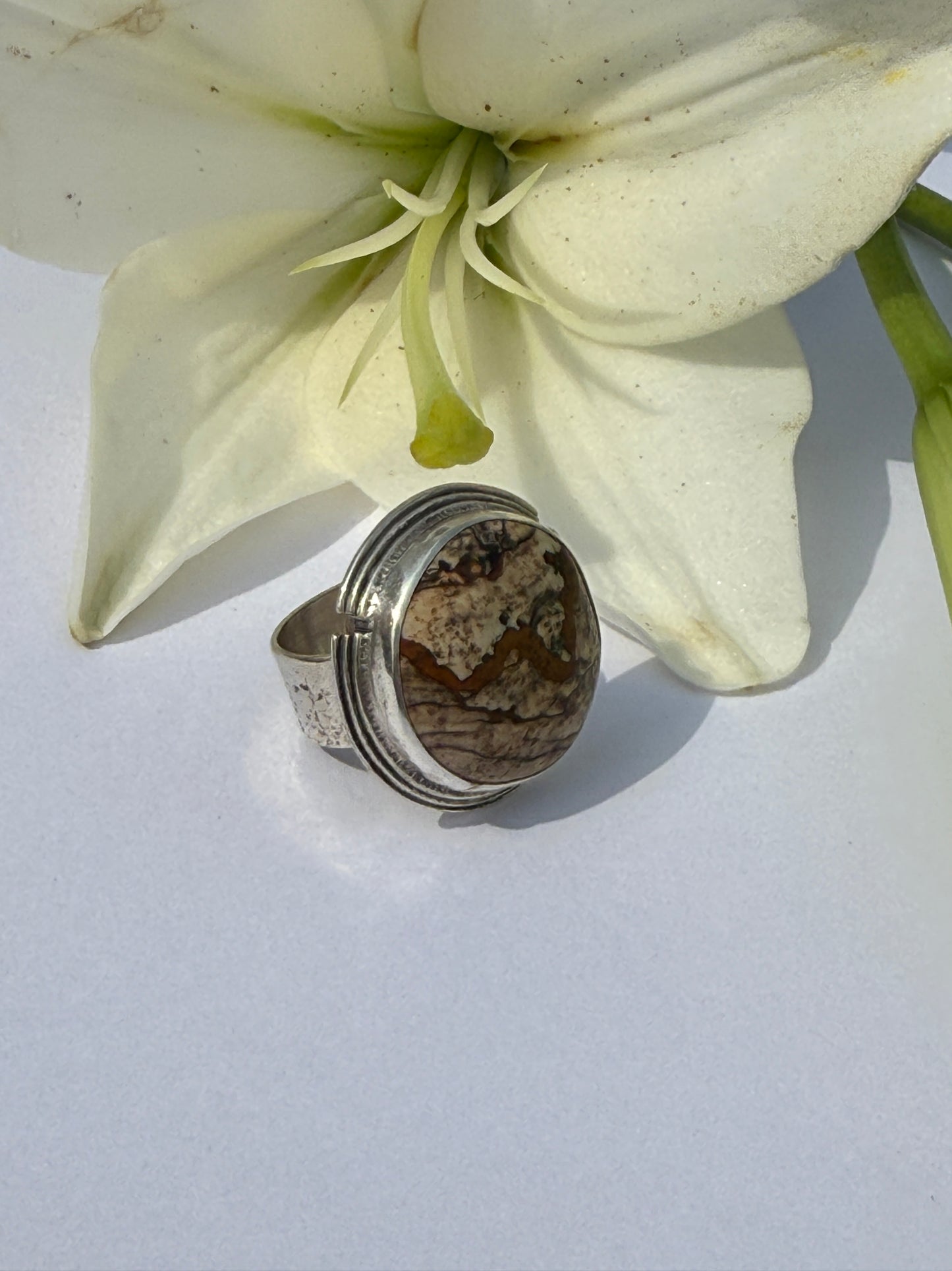 Sanctuary Ring - Sterling Silver & Picture Jasper - size 7