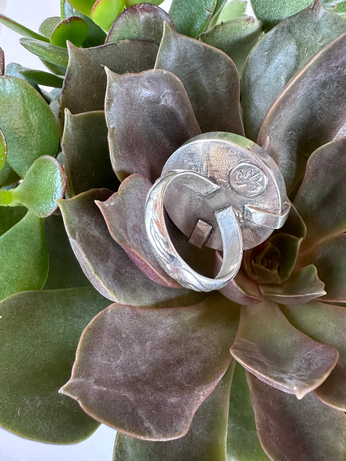 Echoes in Stone Ring: Dinosaur Gembone & Yellow Sapphire & Sterling Silver - size 9.25