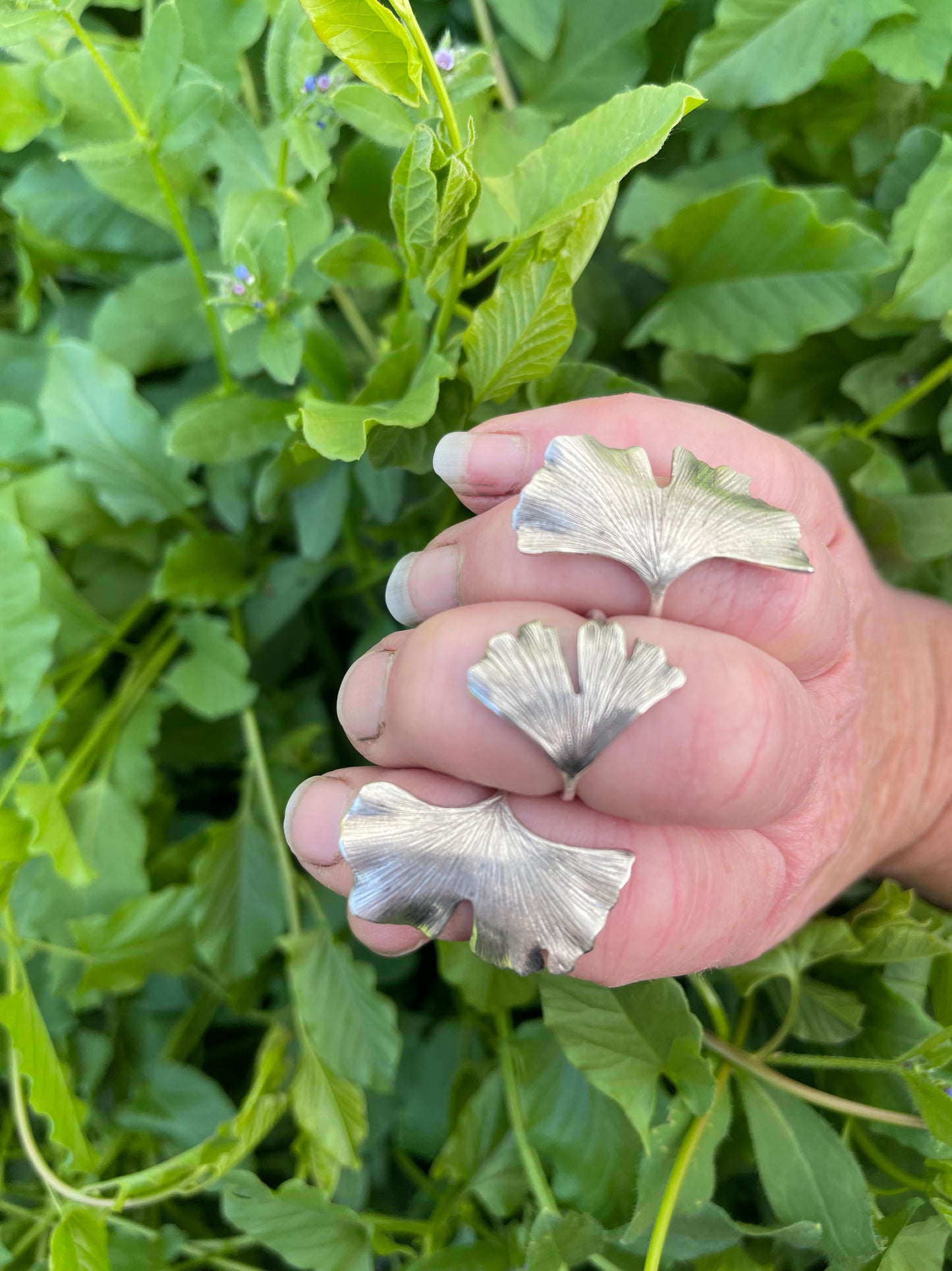 Gingko Grove Rings: Sterling Silver Gingko Leaves