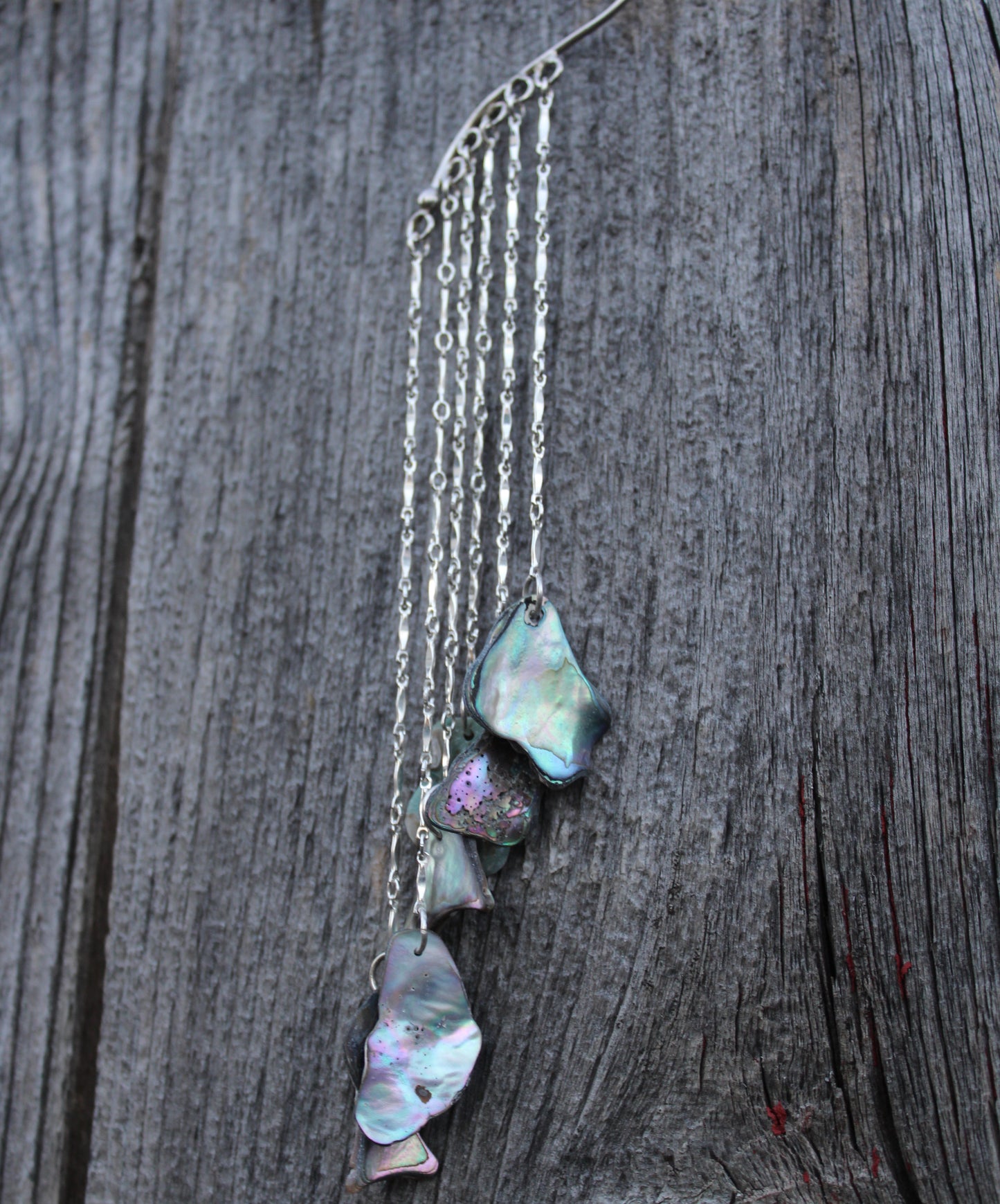 Tidal Flow Abalone Ear Slides