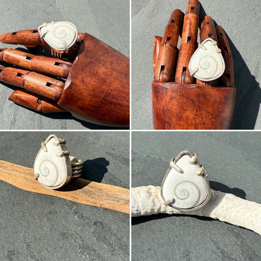 Tidal Spirit Ring: Sterling Silver & Shiva Shell - size 10.5