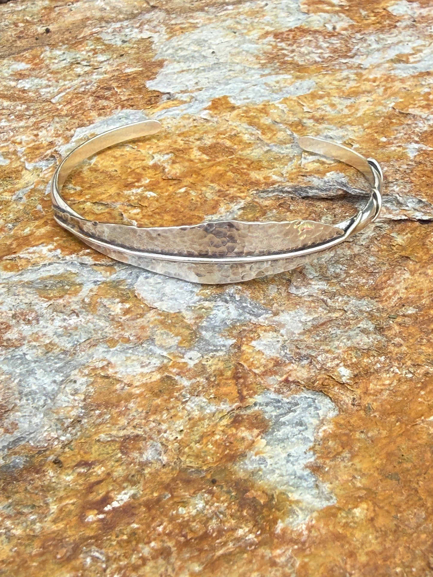 Salix (Willow) in Silver