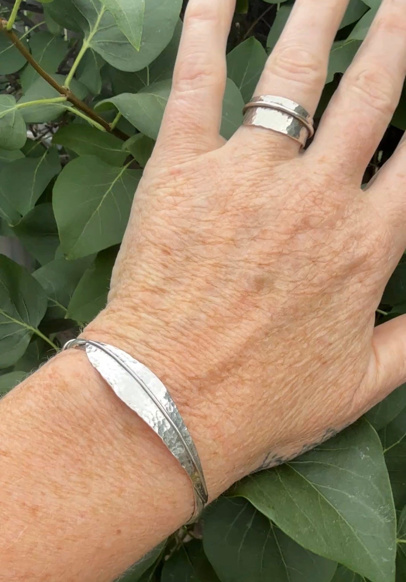 Salix (Willow) in Silver