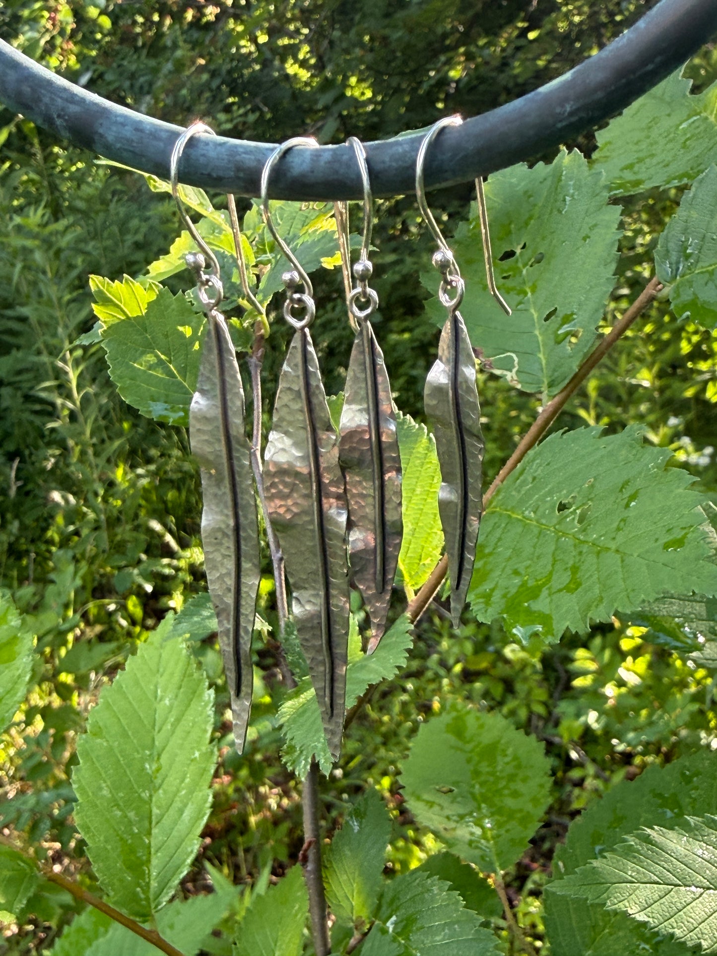 Salix (Willow) in Silver