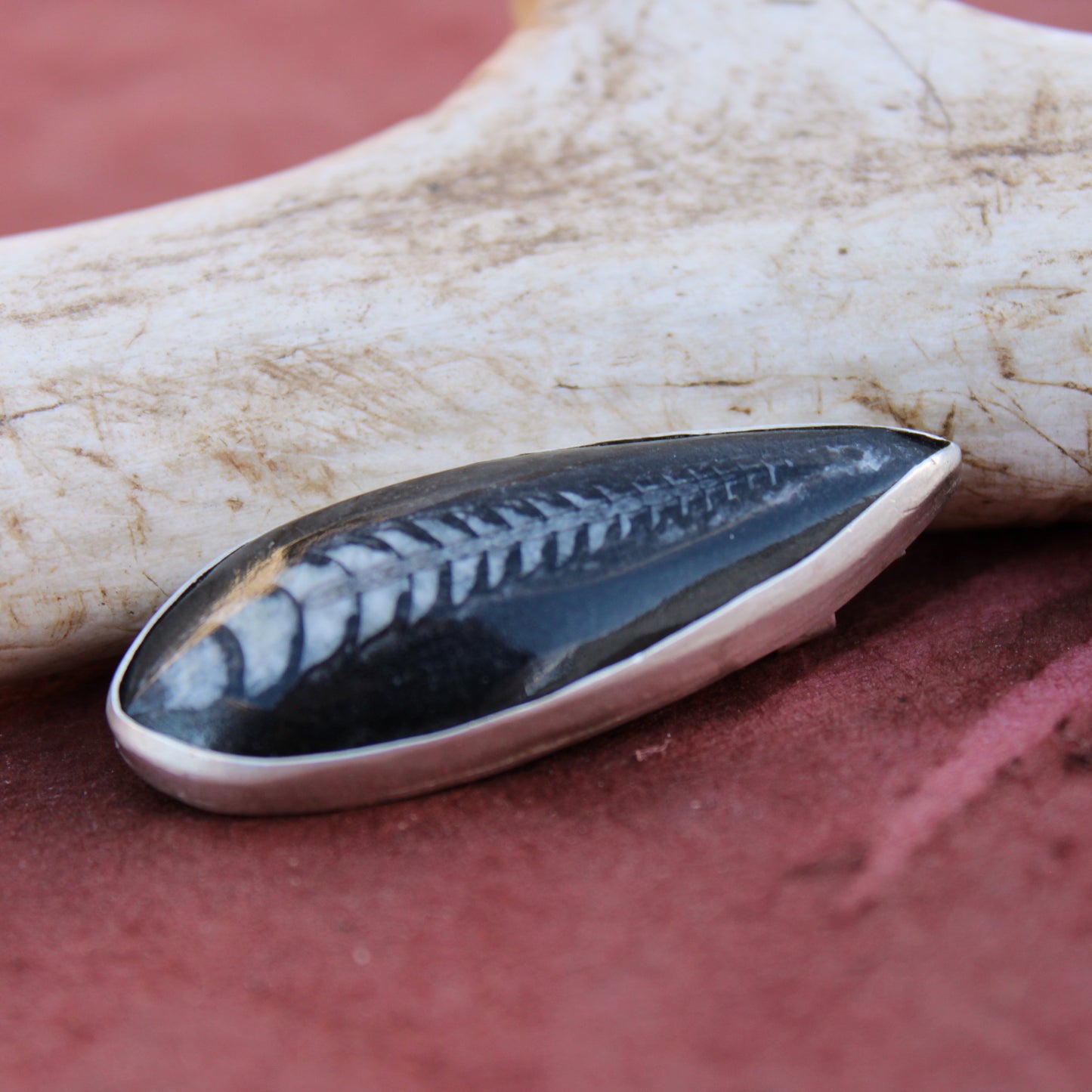 Ancient Currents Pin: Sterling Silver & Orthoceros