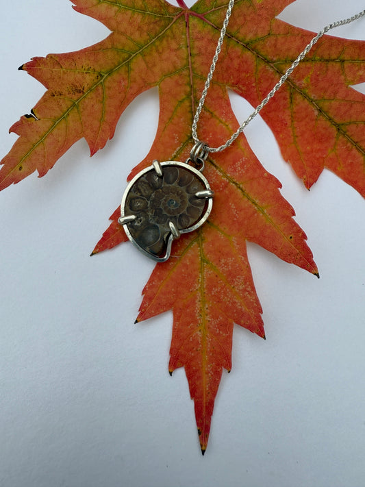 Eternal Spiral: Sterling Silver & Ammonite Pendant