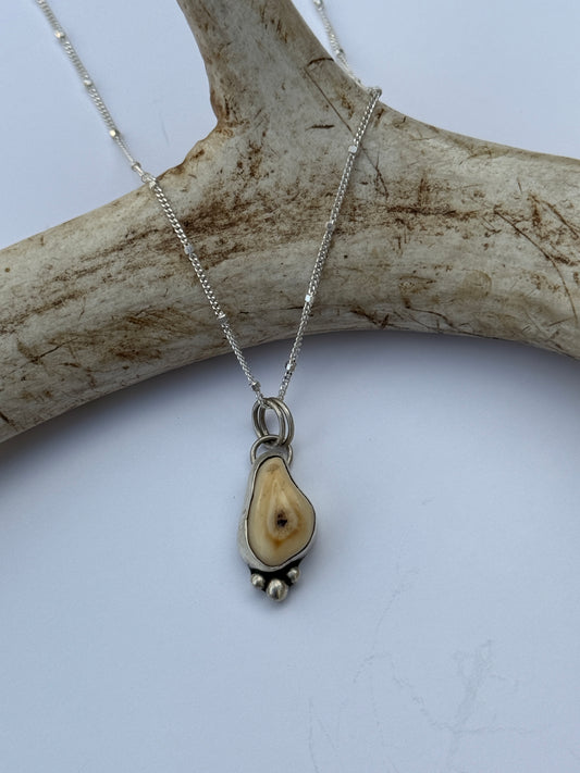 Wild Spirit Ivory Necklace: Sterling Silver & Elk Ivory Pendant