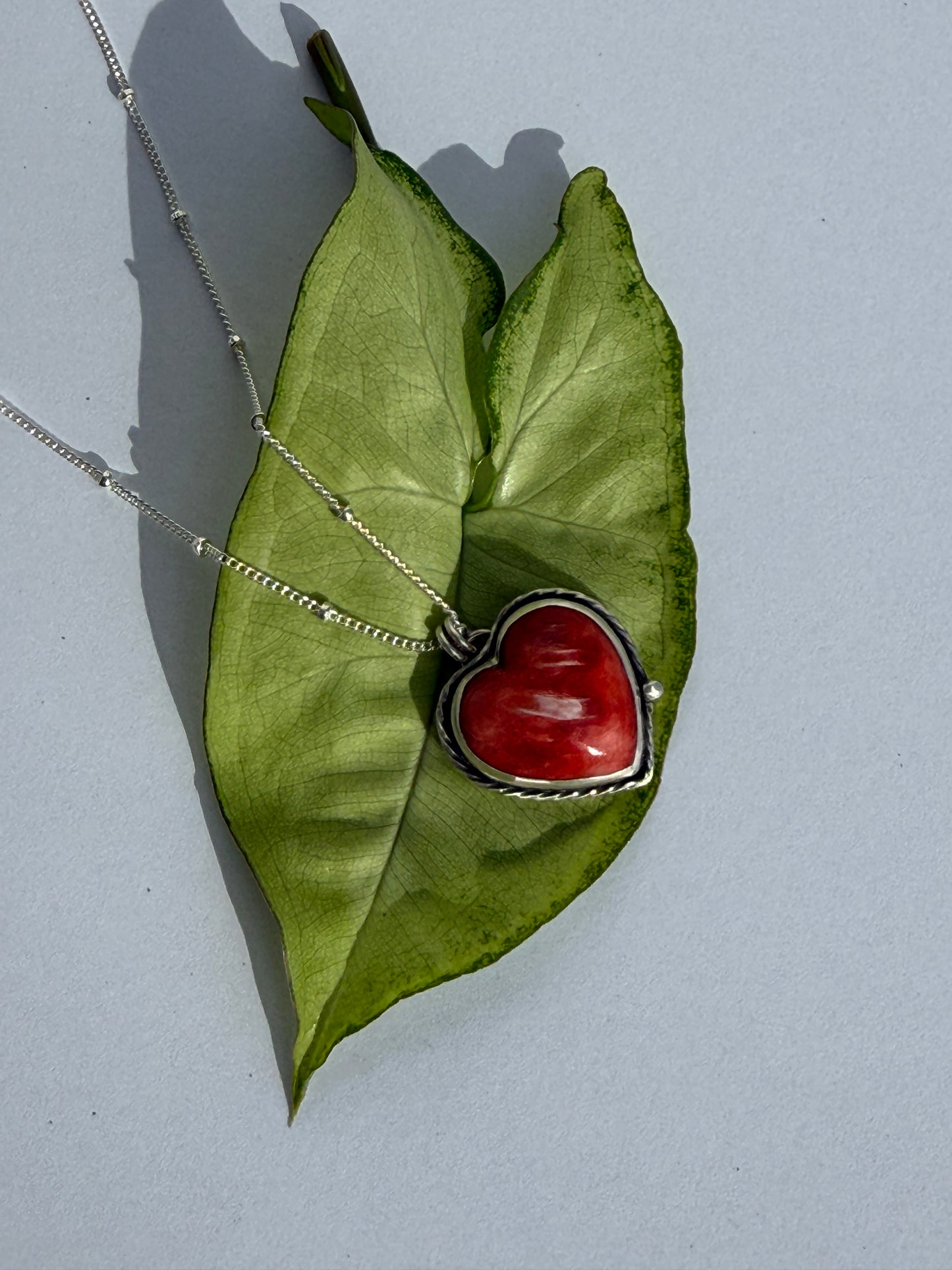 Rooted in Fire: Red Spiny Oyster Shell