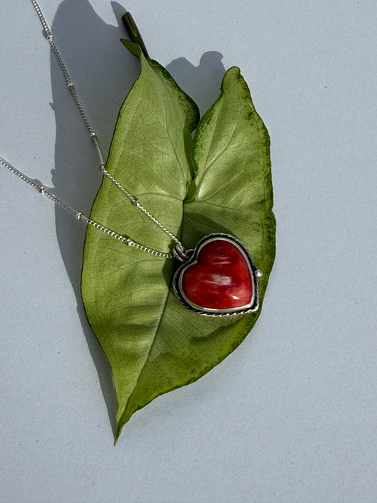 Rooted in Fire: Red Spiny Oyster Shell
