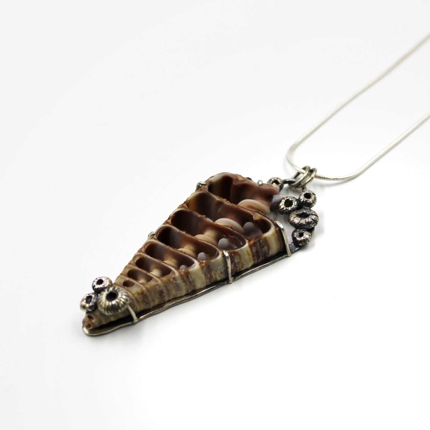 Tidekeeper Necklace: Sterling Silver & Spiral Shell Prong set with Barnacles