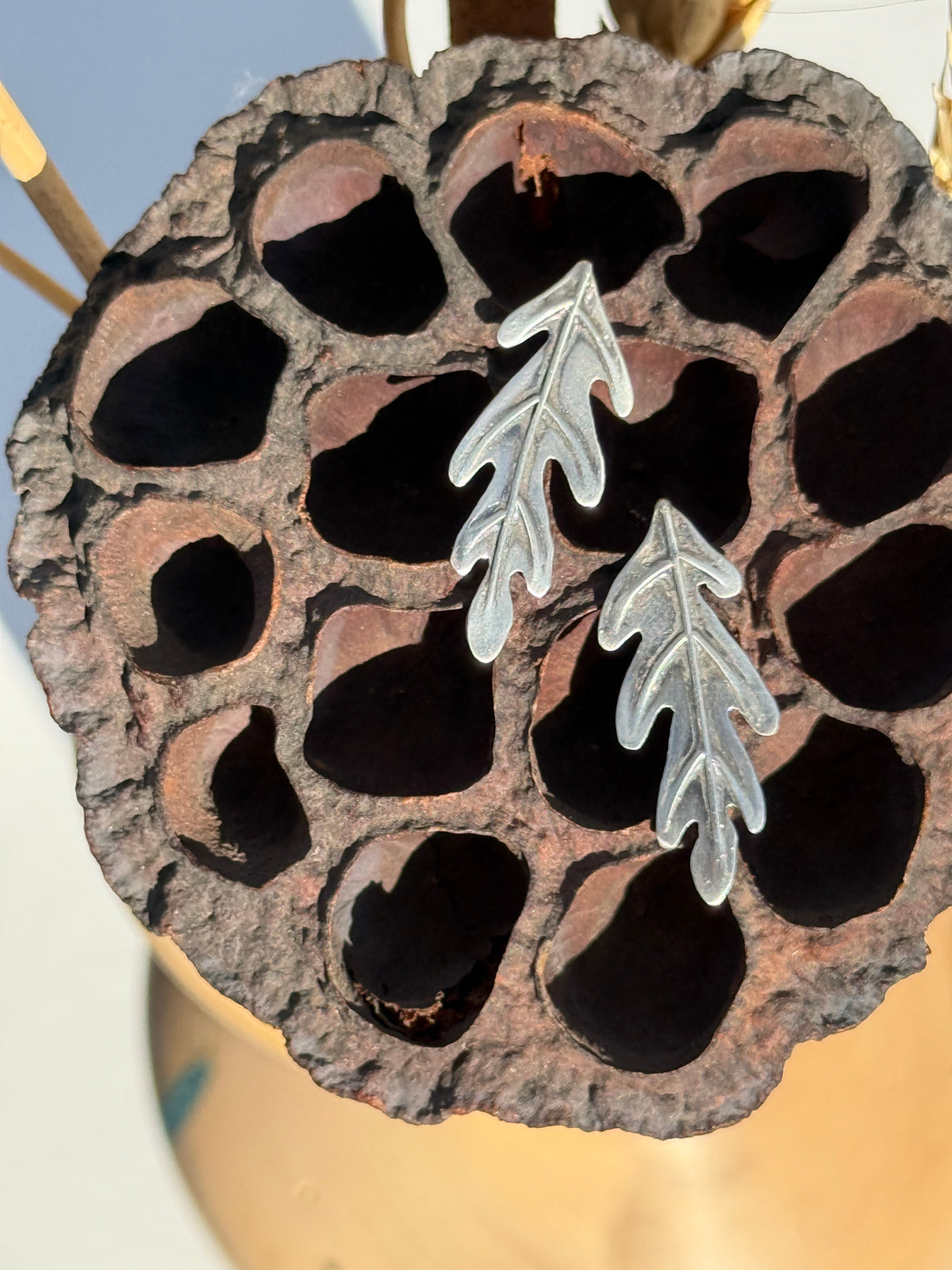Fallen Oak Stud Earrings