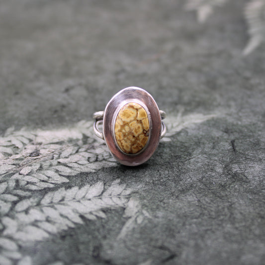 Wild Haven Ring: Sterling Silver & Jasper - size 7