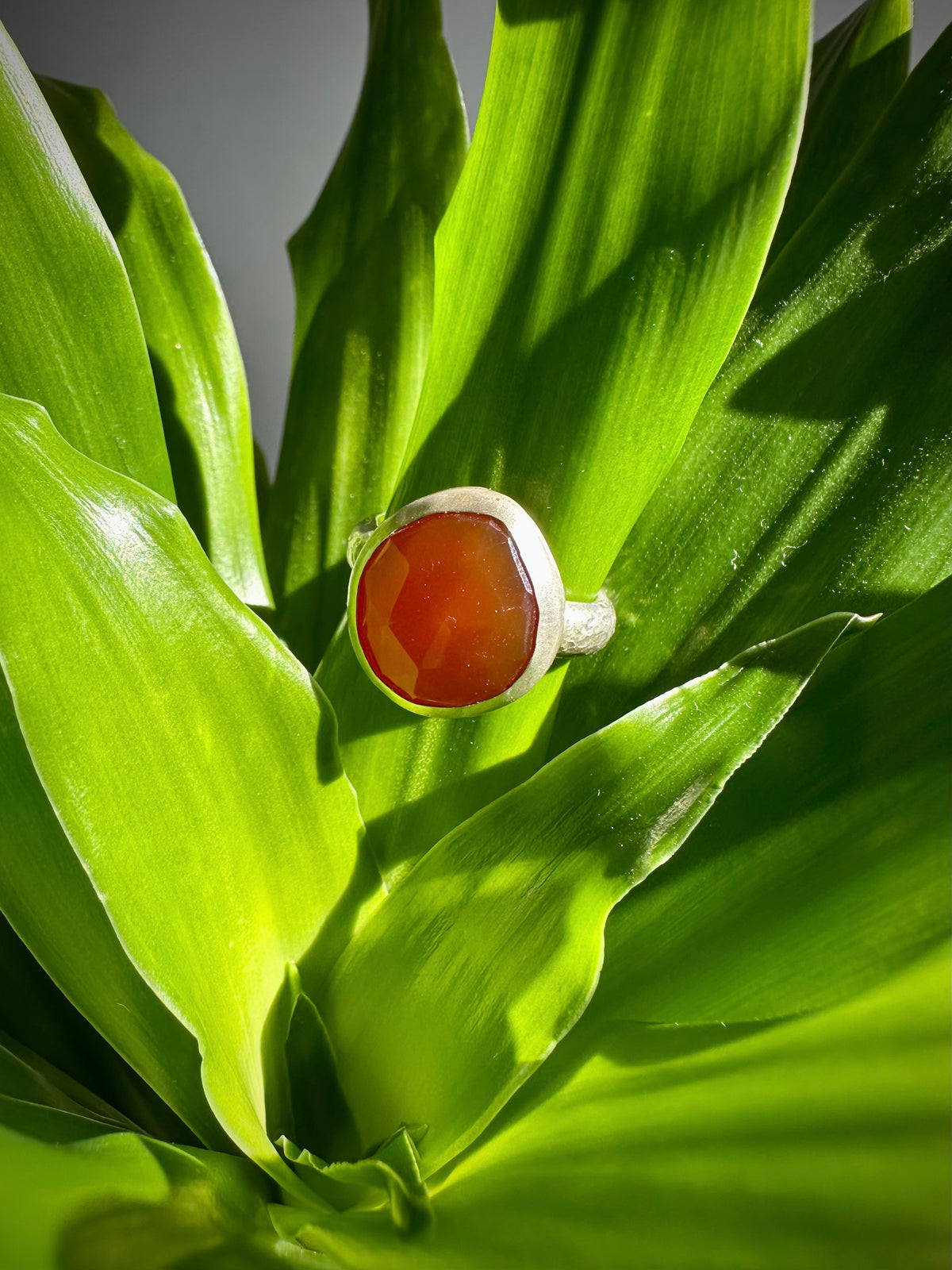 Solstice Ring: Carnelian & Sterling Silver - size 5.75