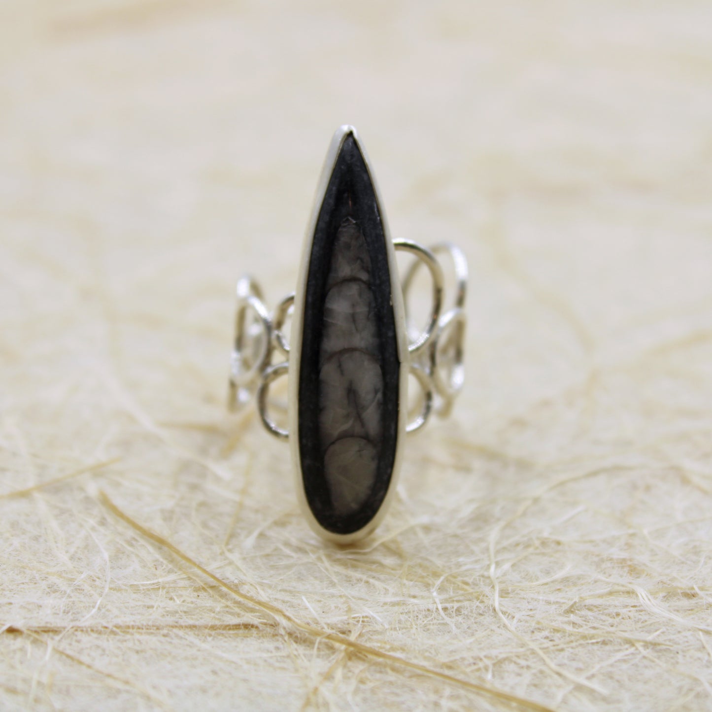 Eternal Current Ring: Sterling Silver Orthoceros - size 5.5