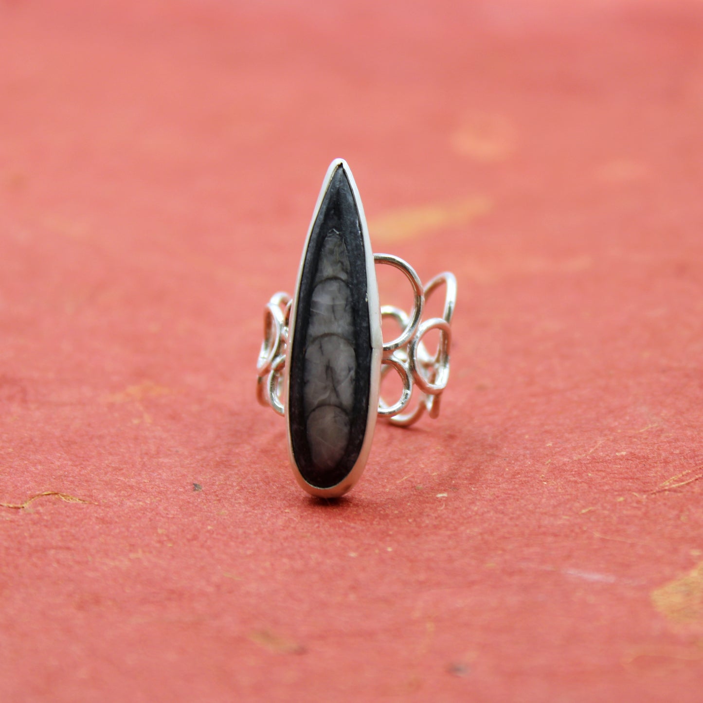 Eternal Current Ring: Sterling Silver Orthoceros - size 5.5