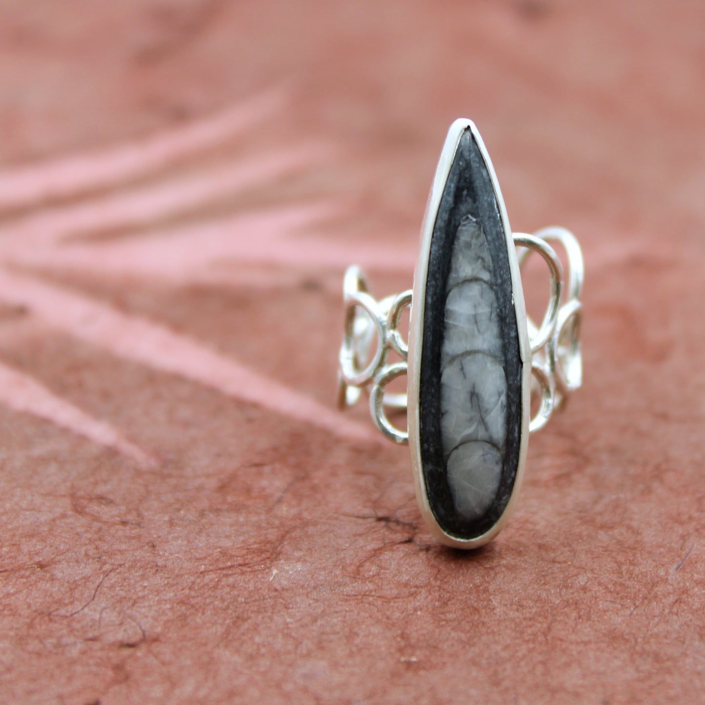 Eternal Current Ring: Sterling Silver Orthoceros - size 5.5