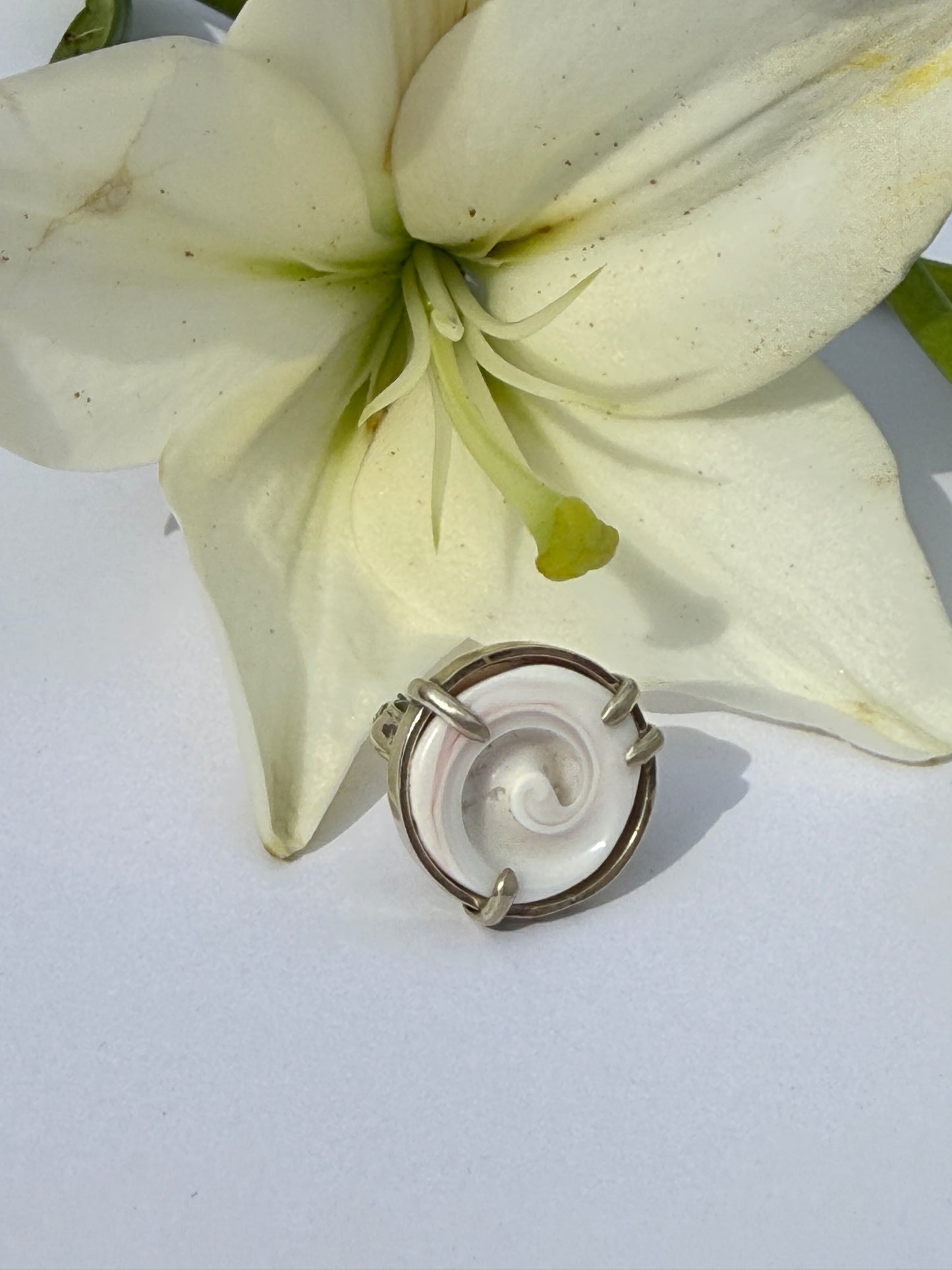 Ocean Muse Ring: Sterling Silver & Prong SeaShell - size 5.5